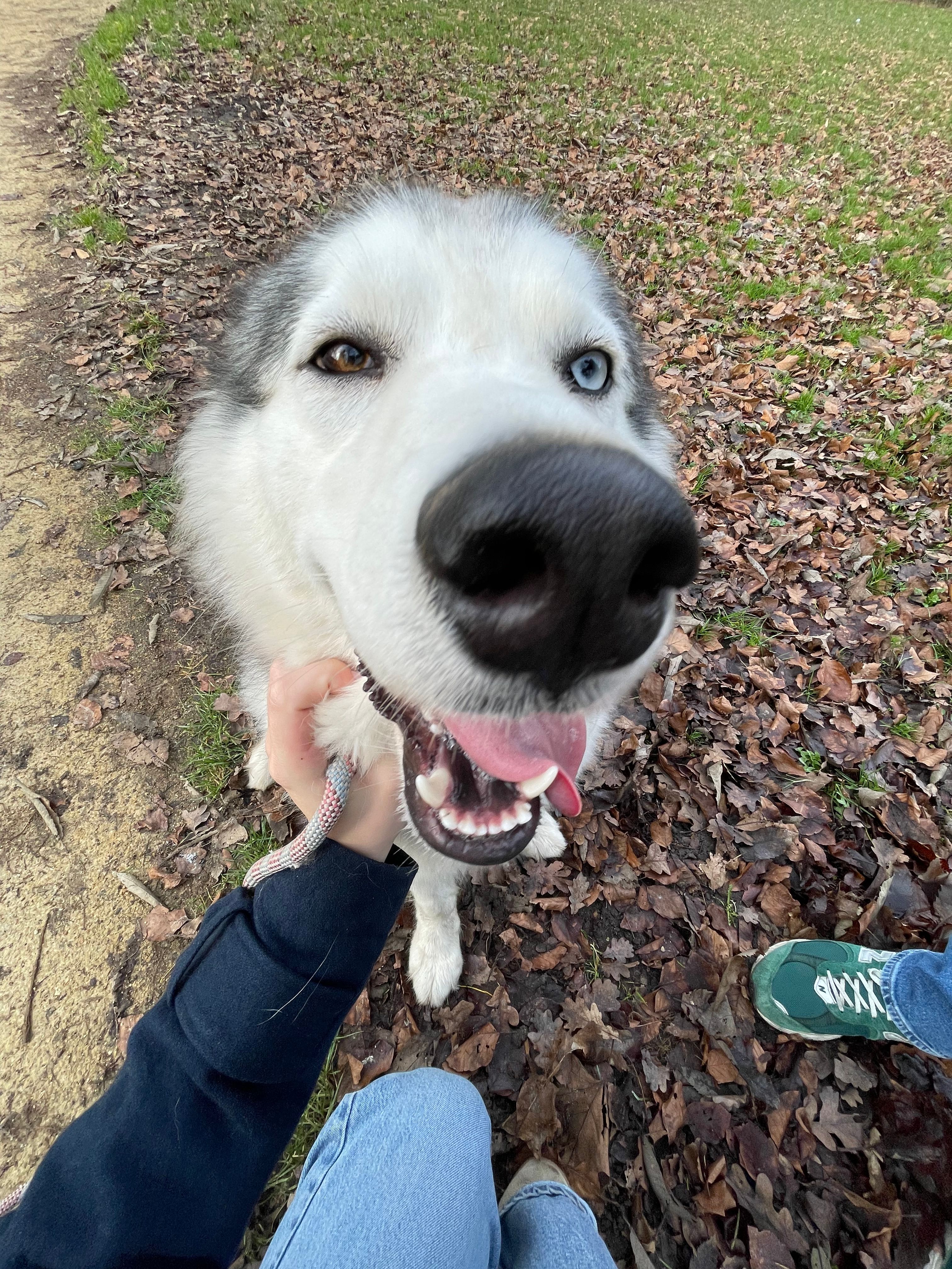 image-5