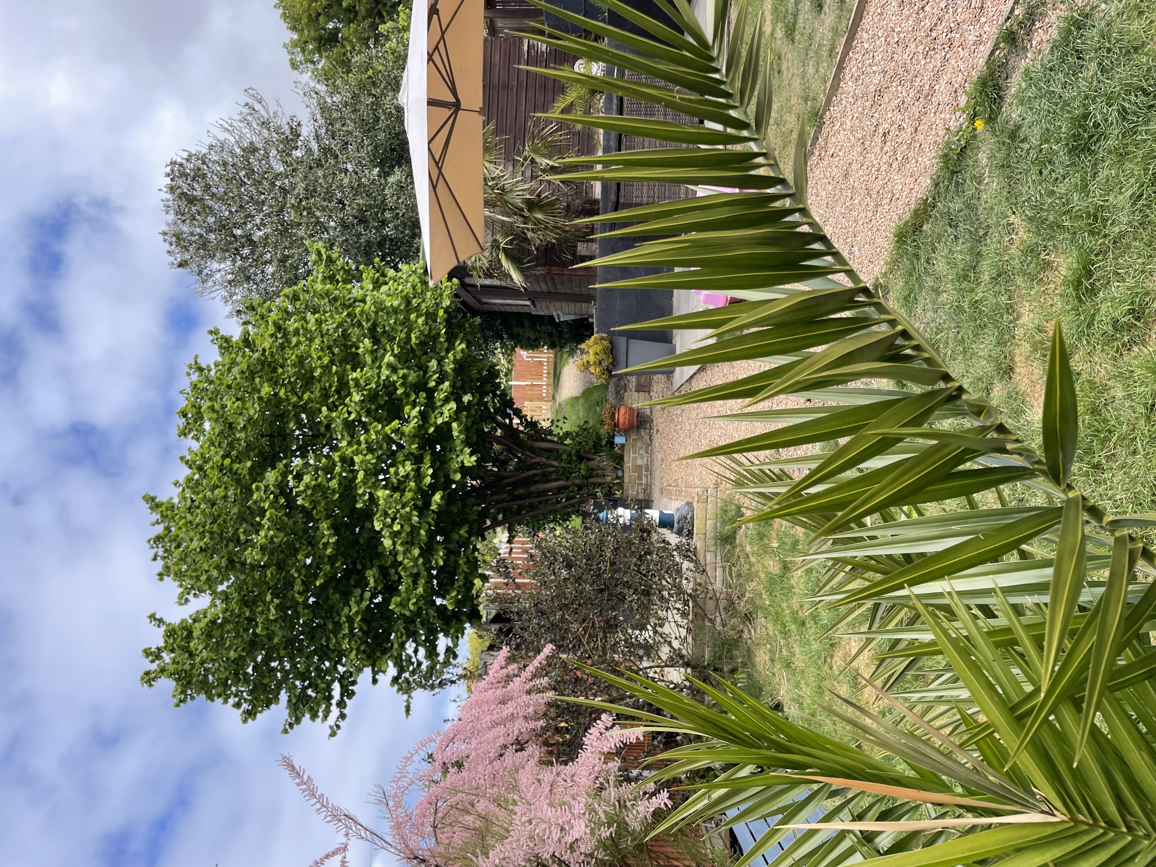 image-16