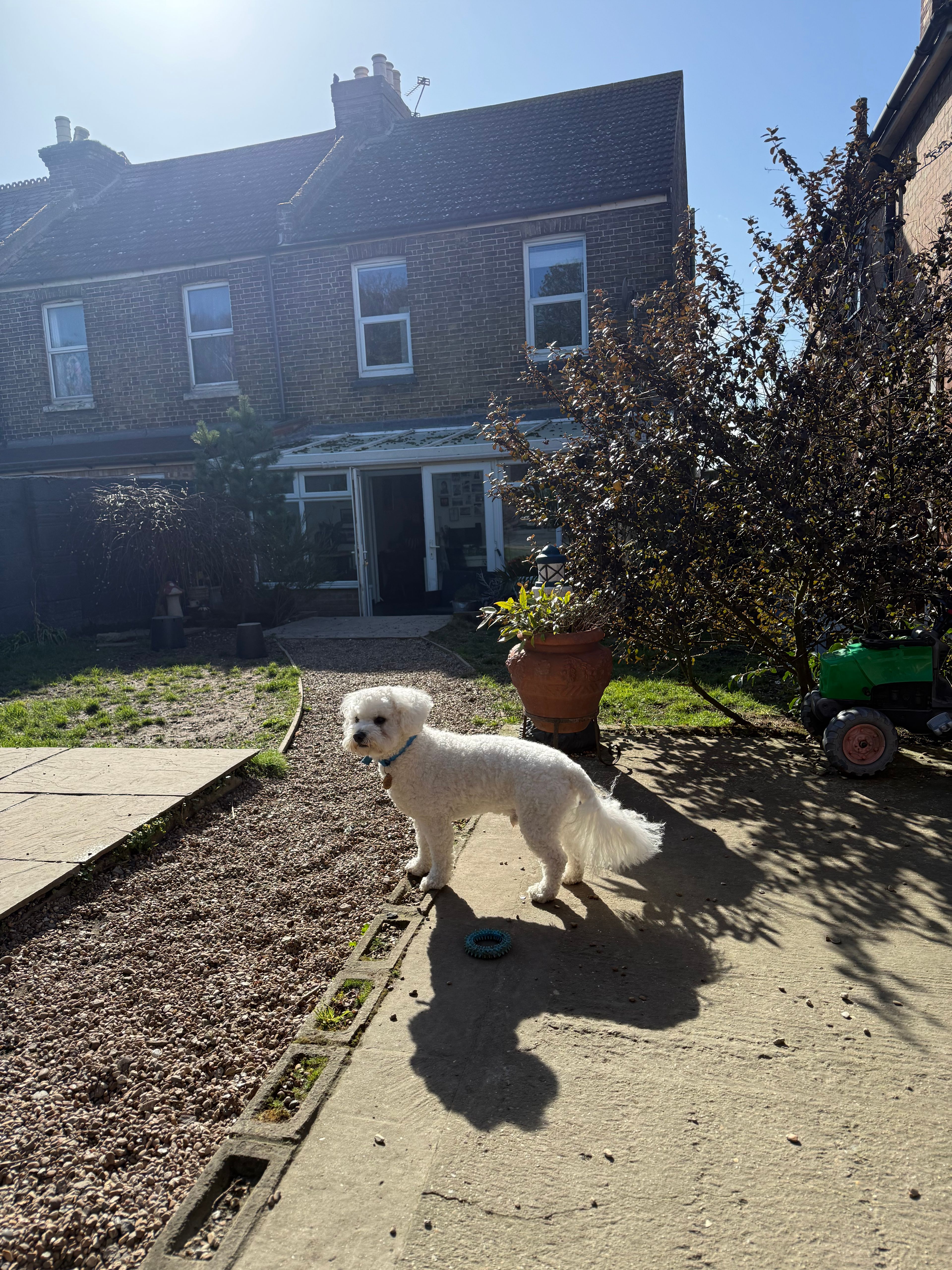 image-11