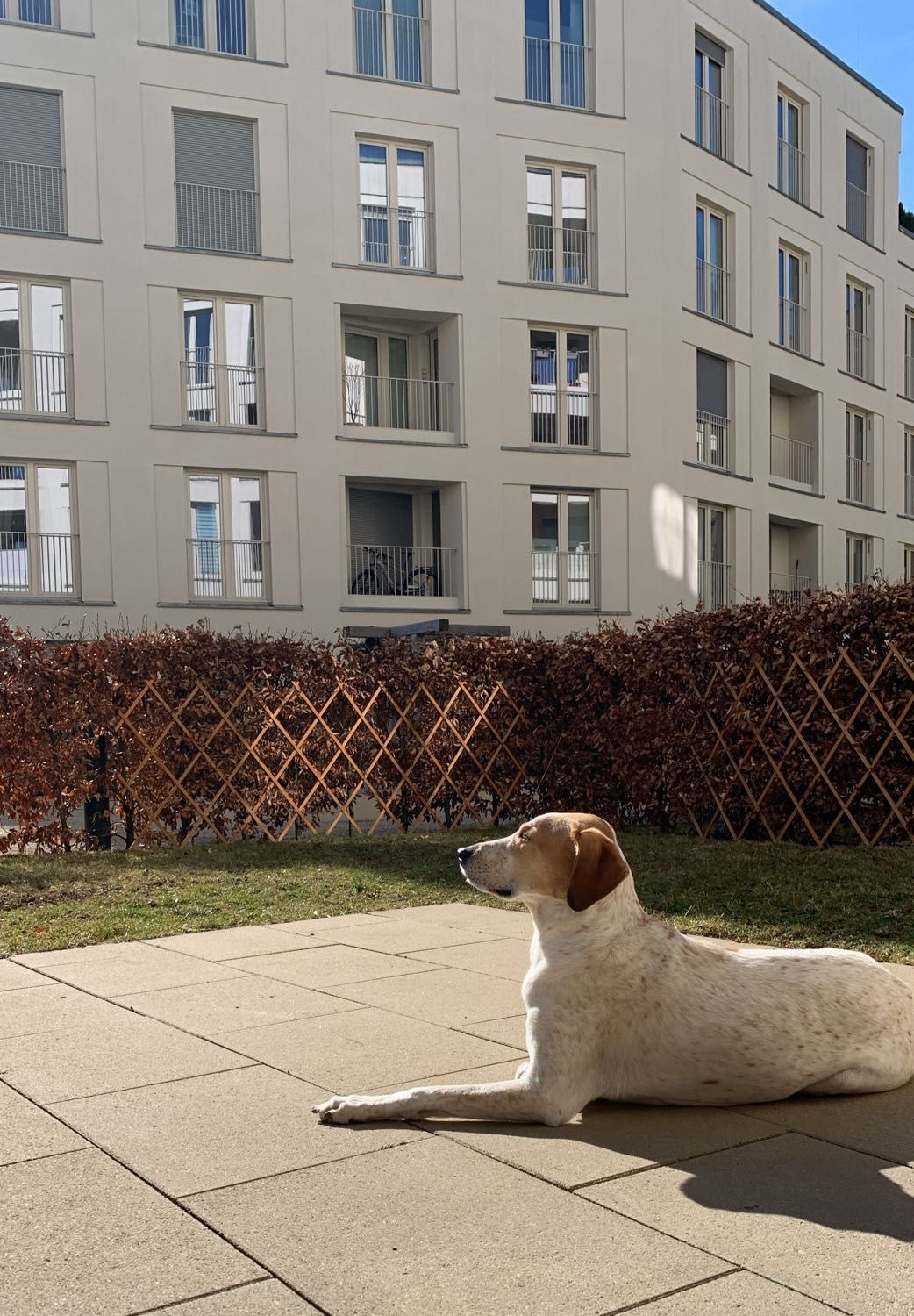 image-17
