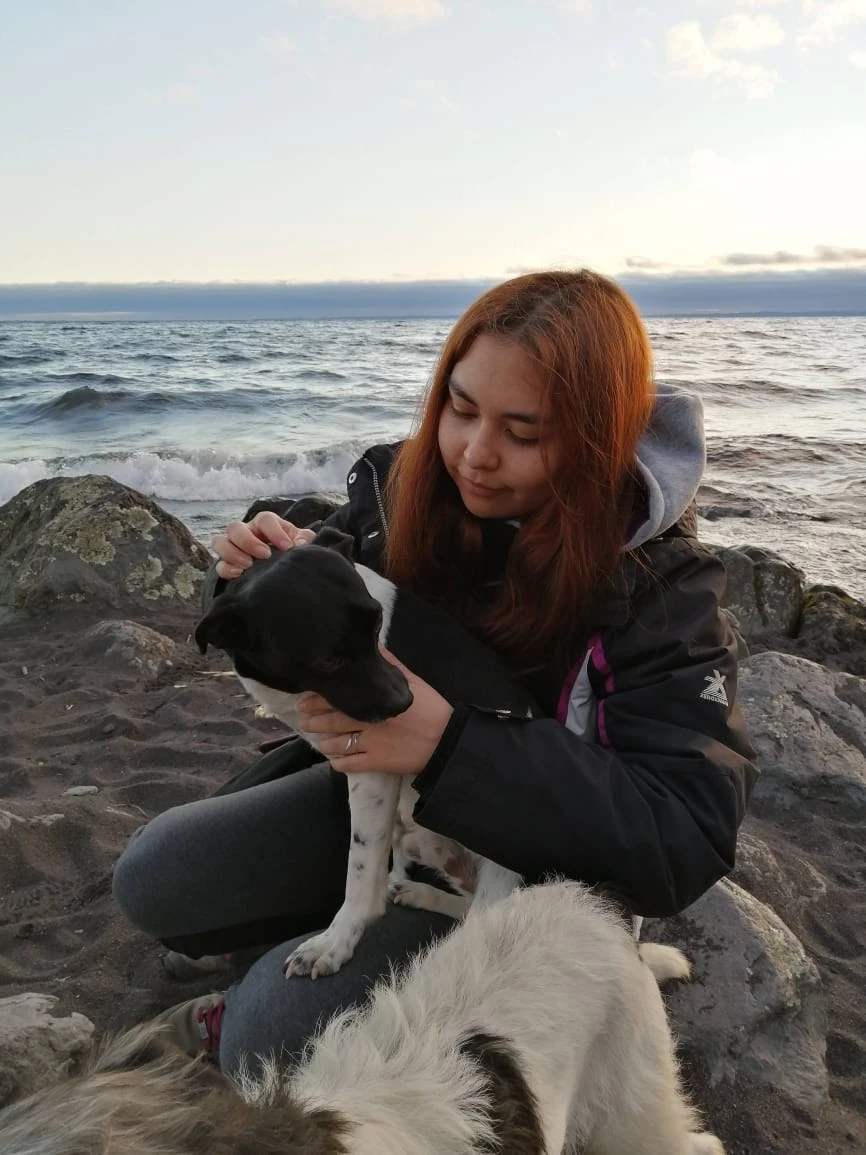 image-8