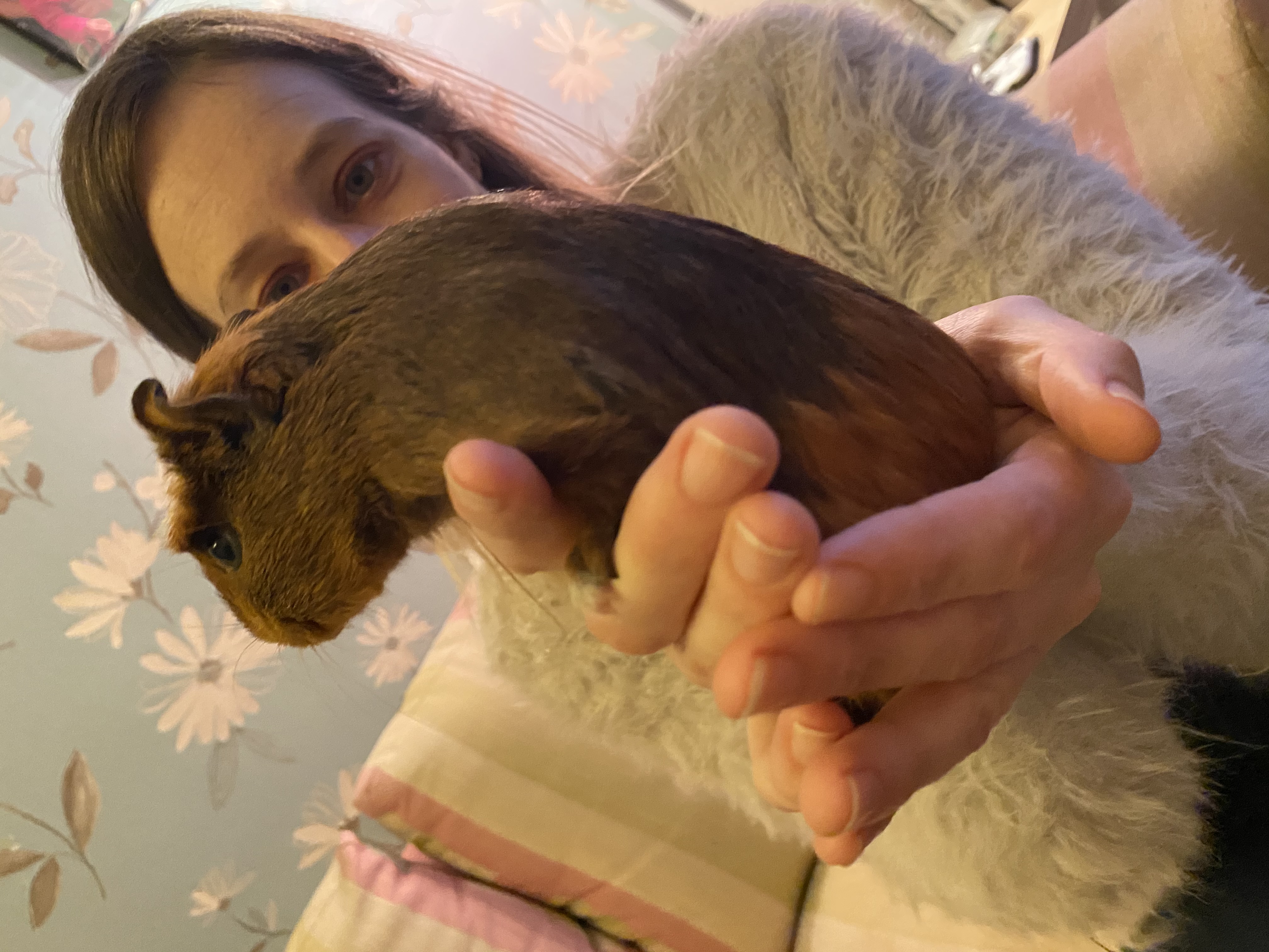 image-6