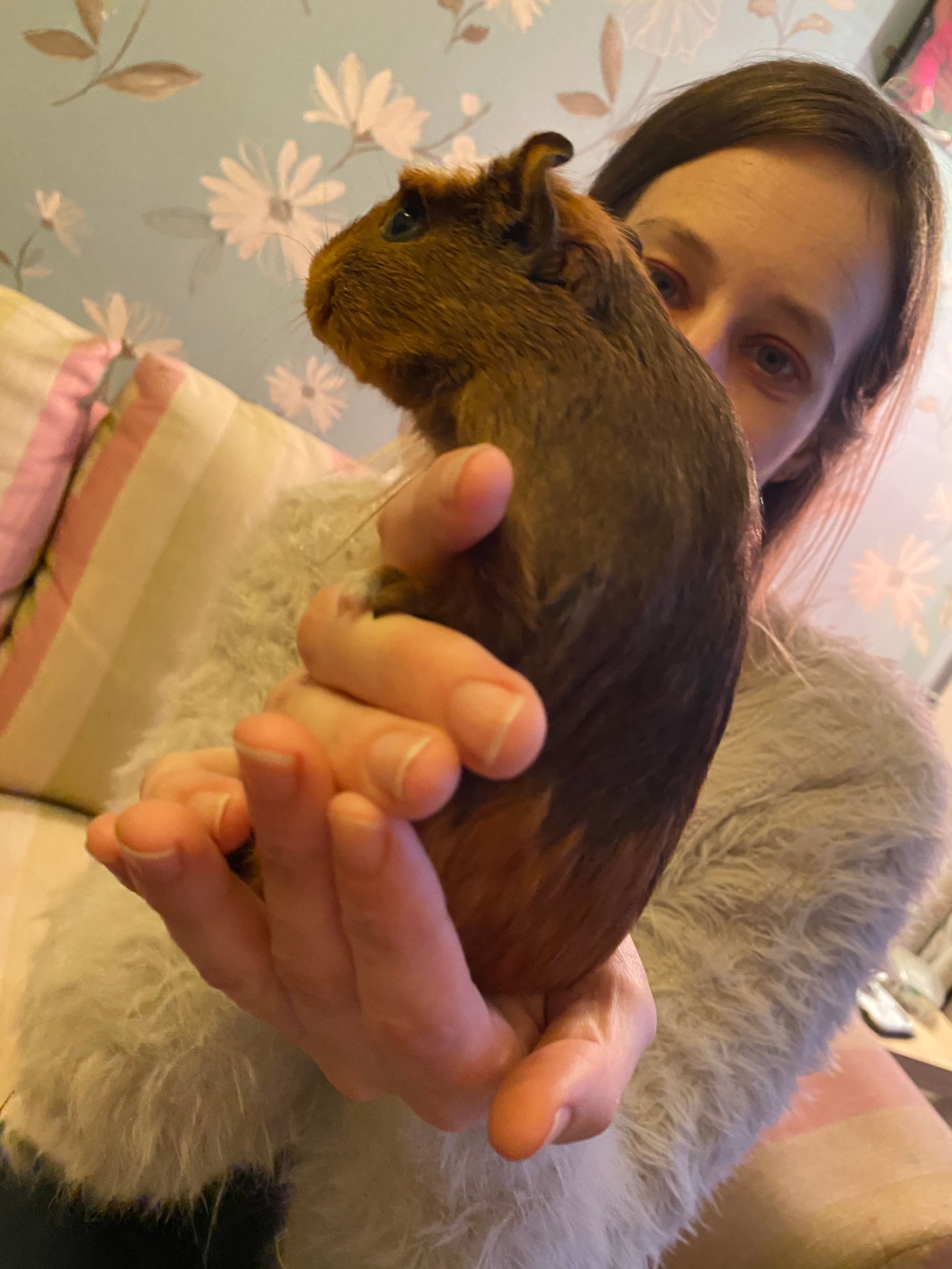 image-6