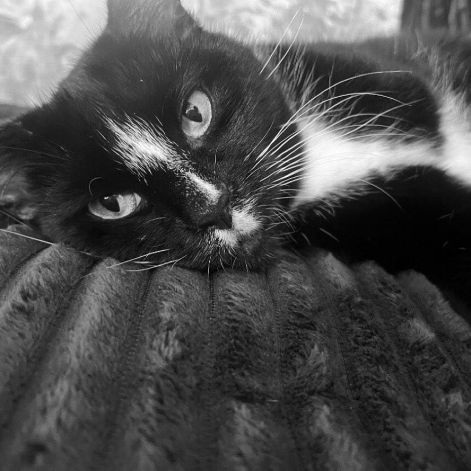 Peggy 