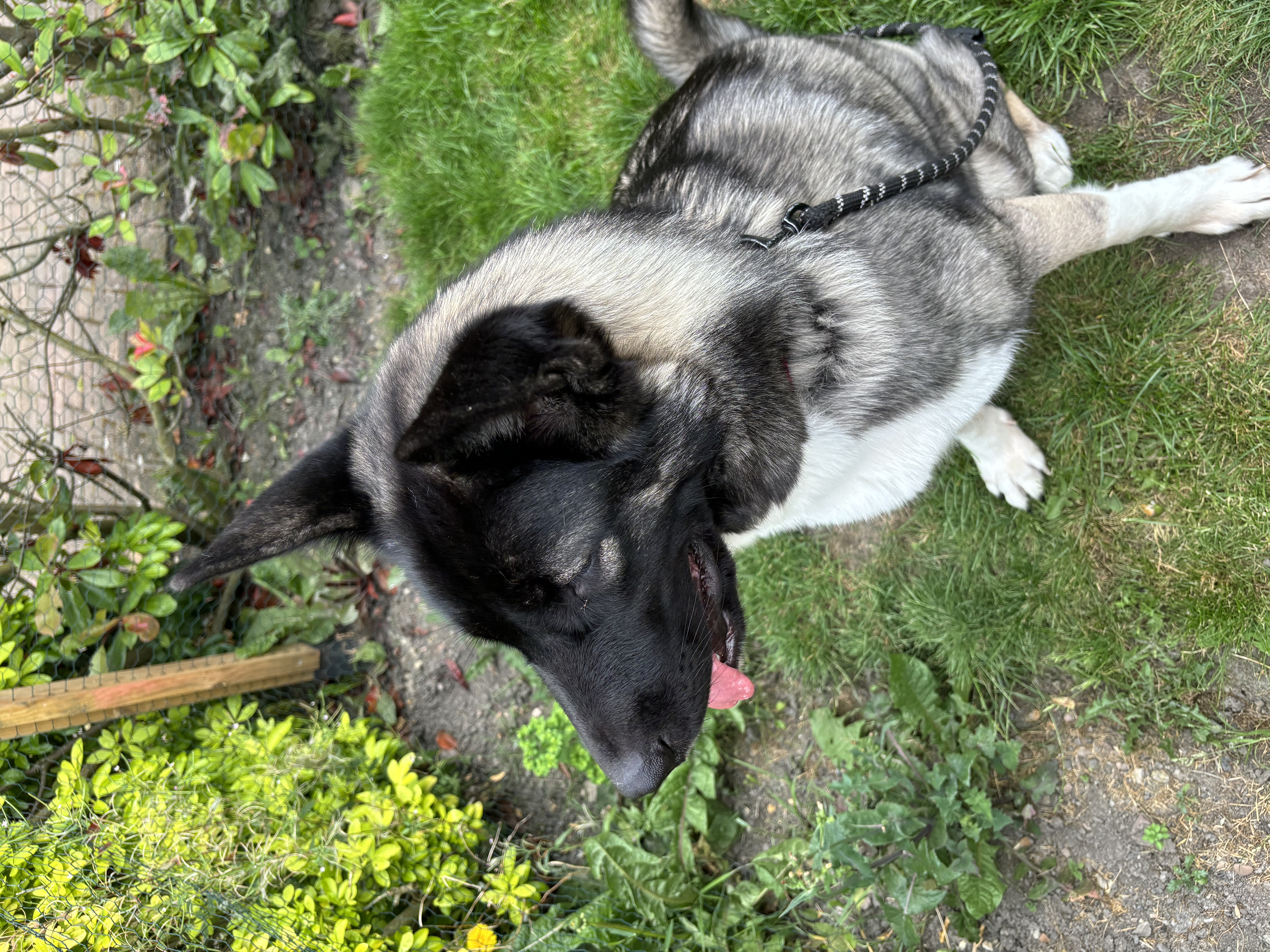 image-6