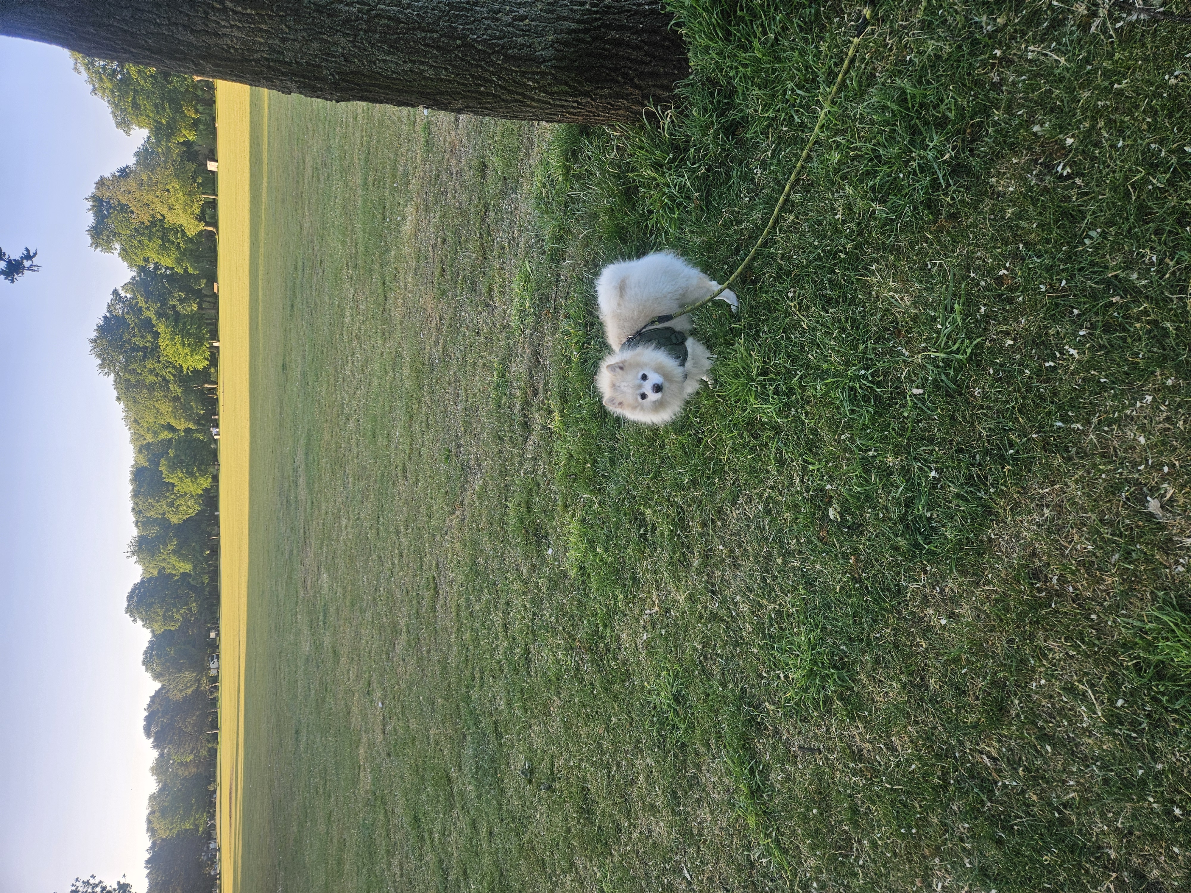 image-19
