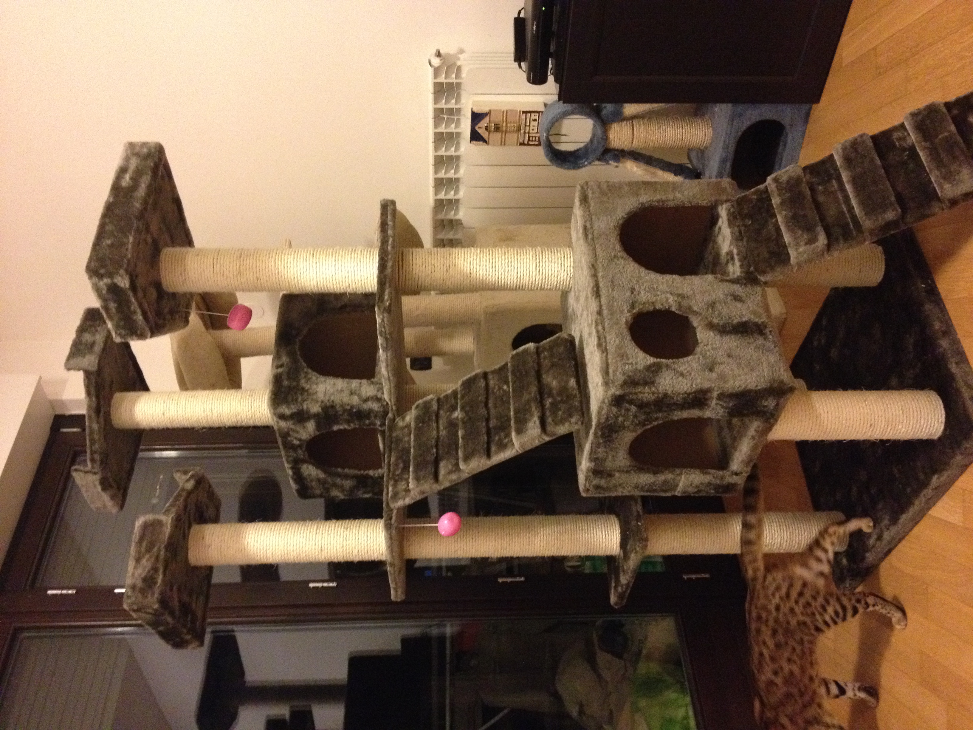 image-8