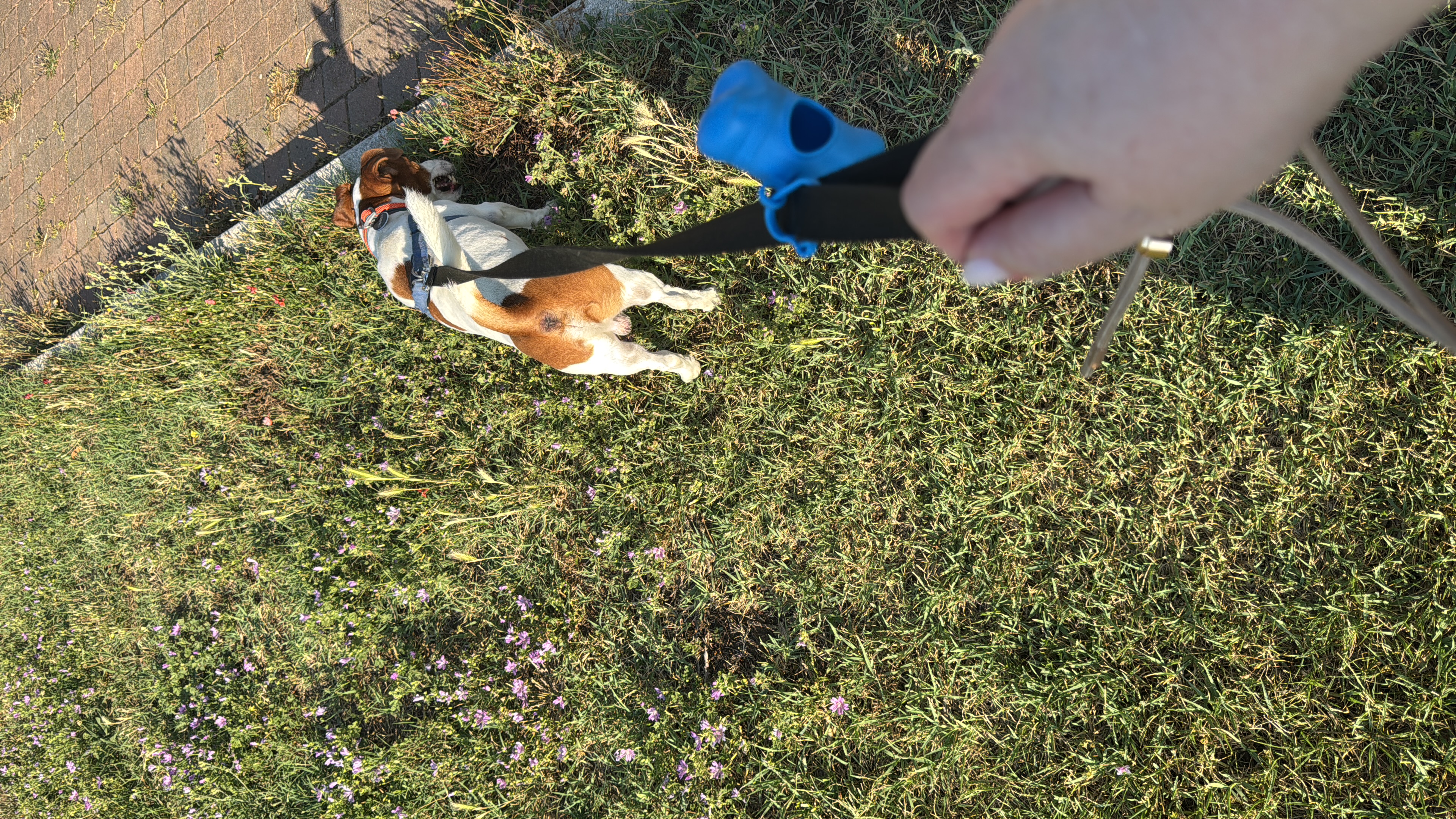 image-6