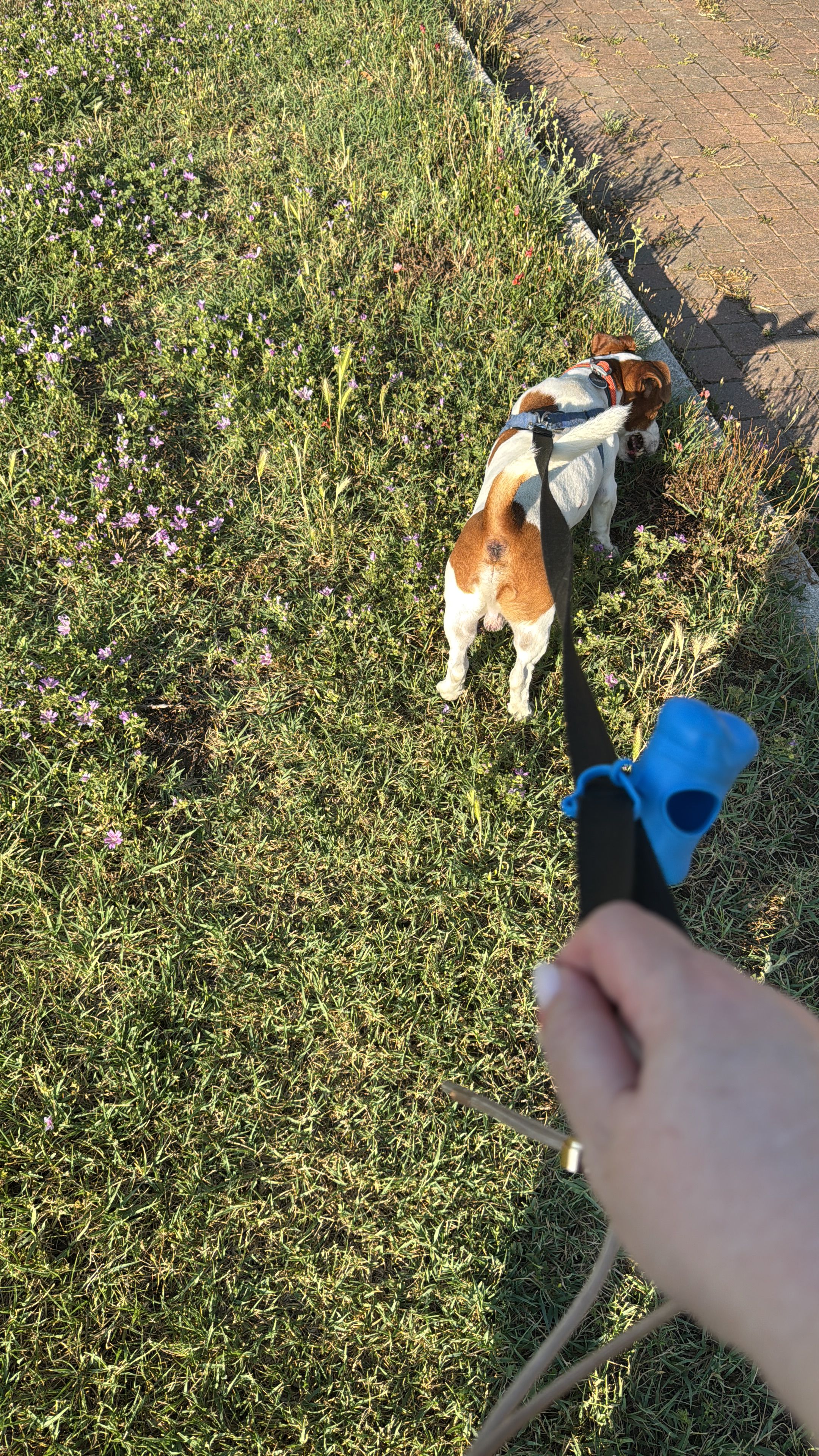 image-6