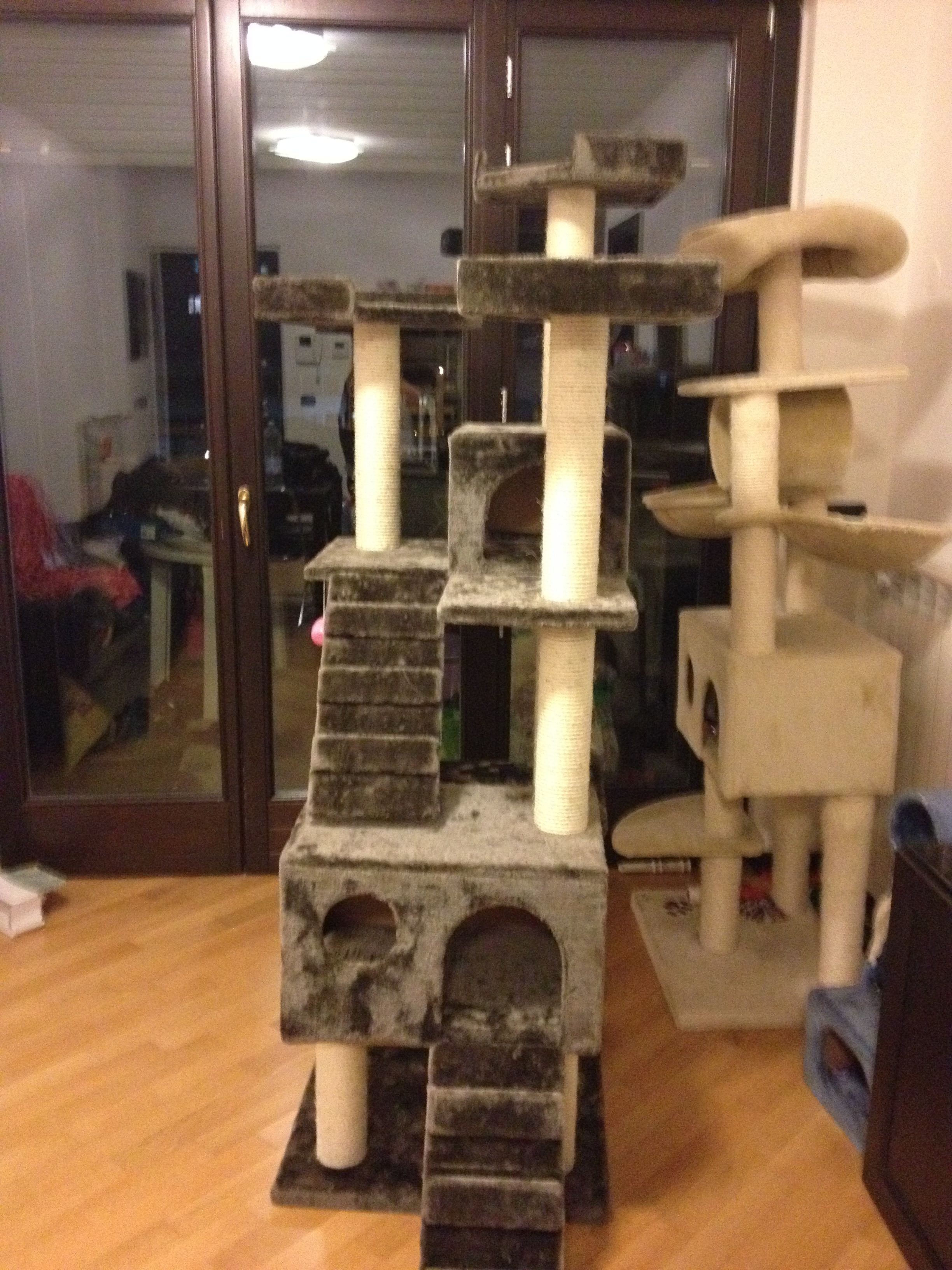 image-9