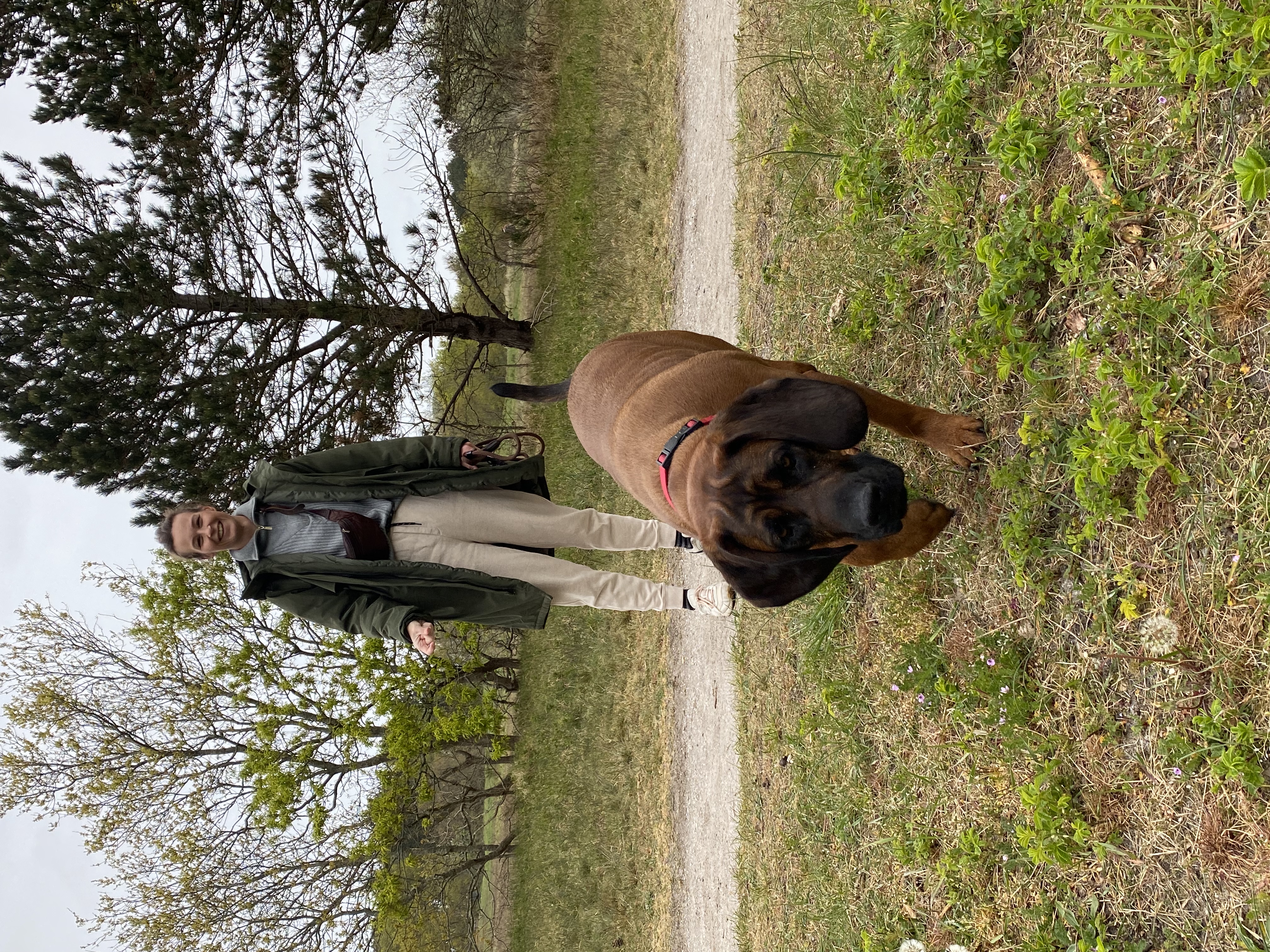 image-4