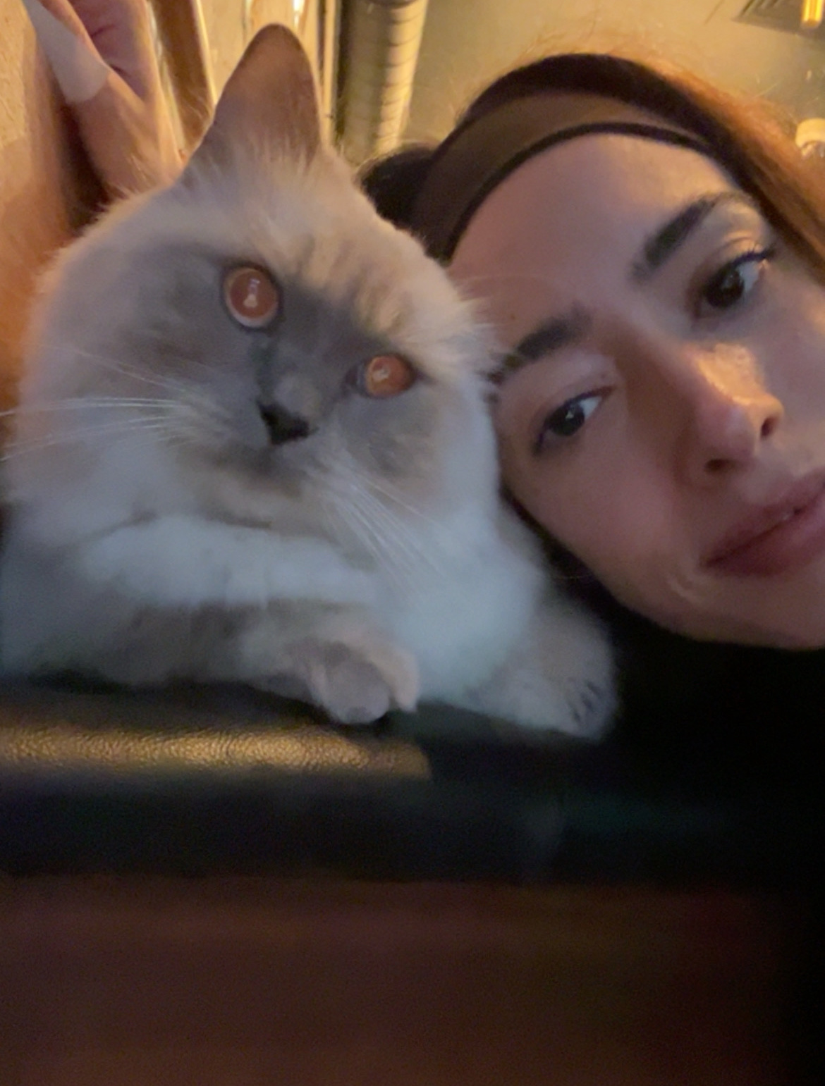 image-4