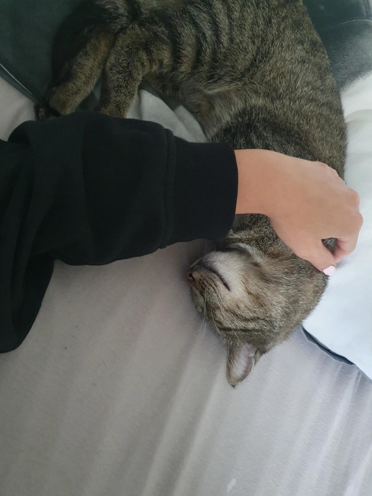 image-8