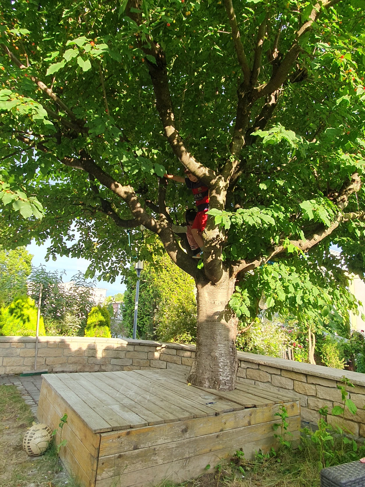 image-12