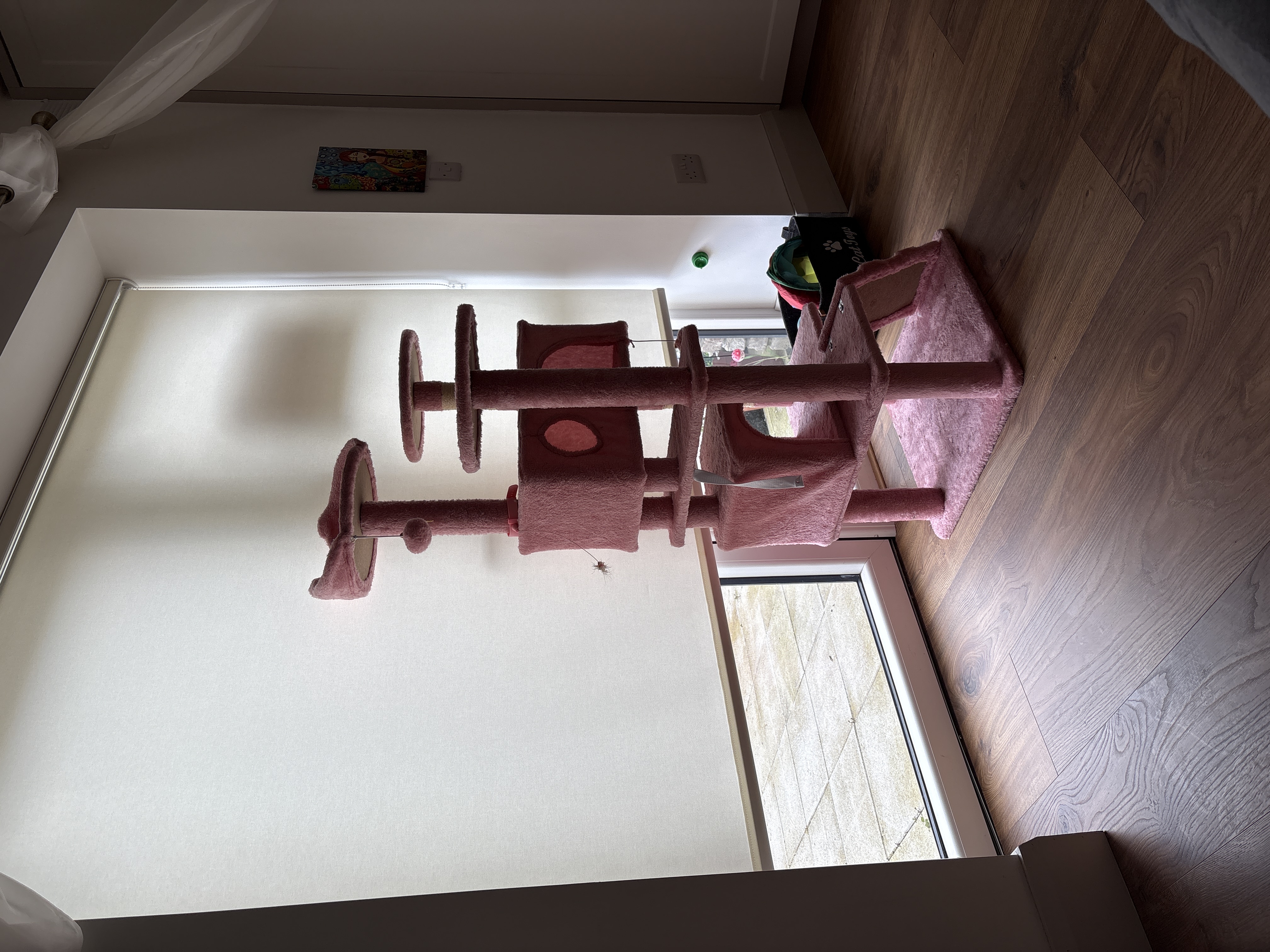 image-8