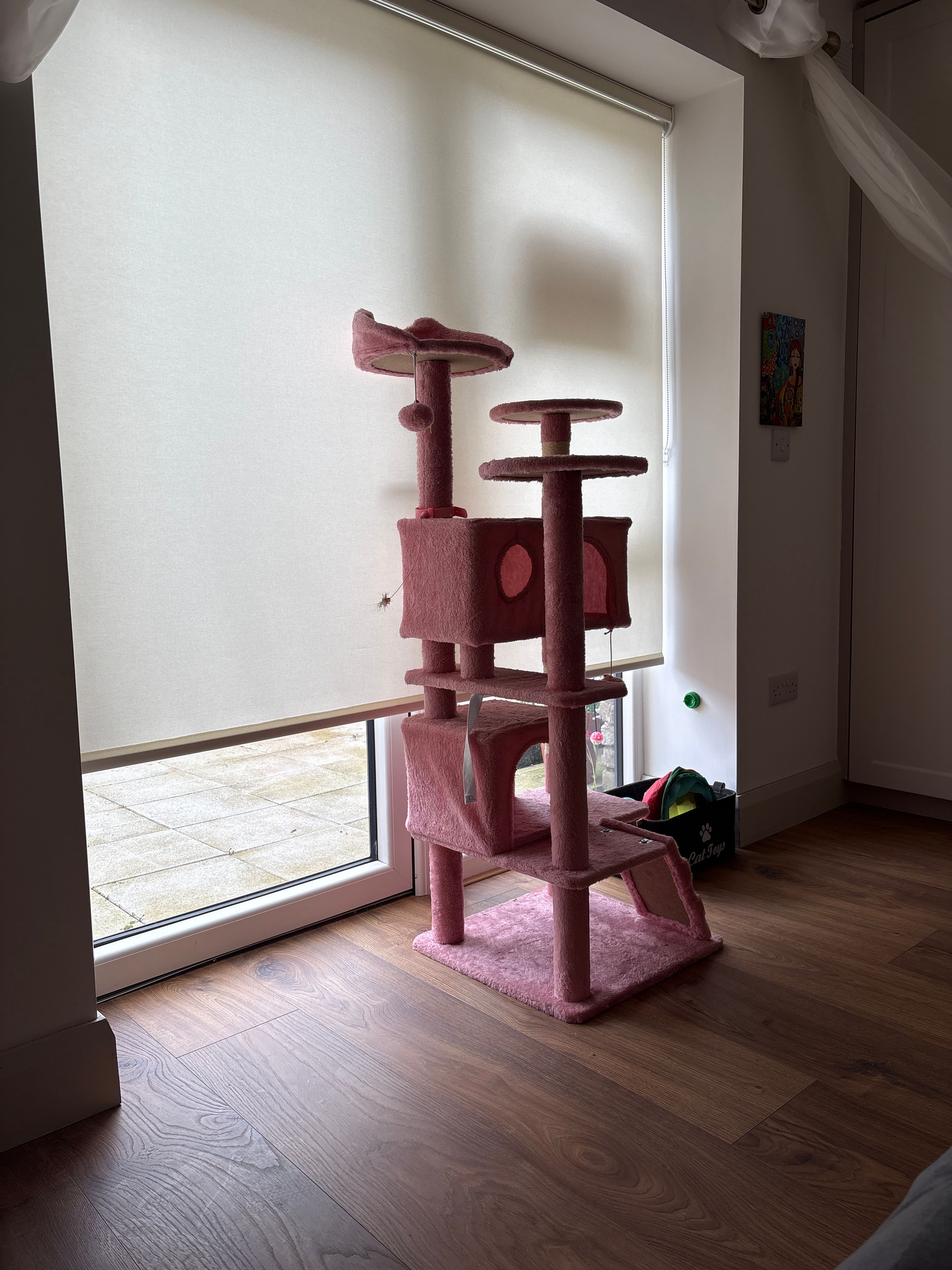 image-8