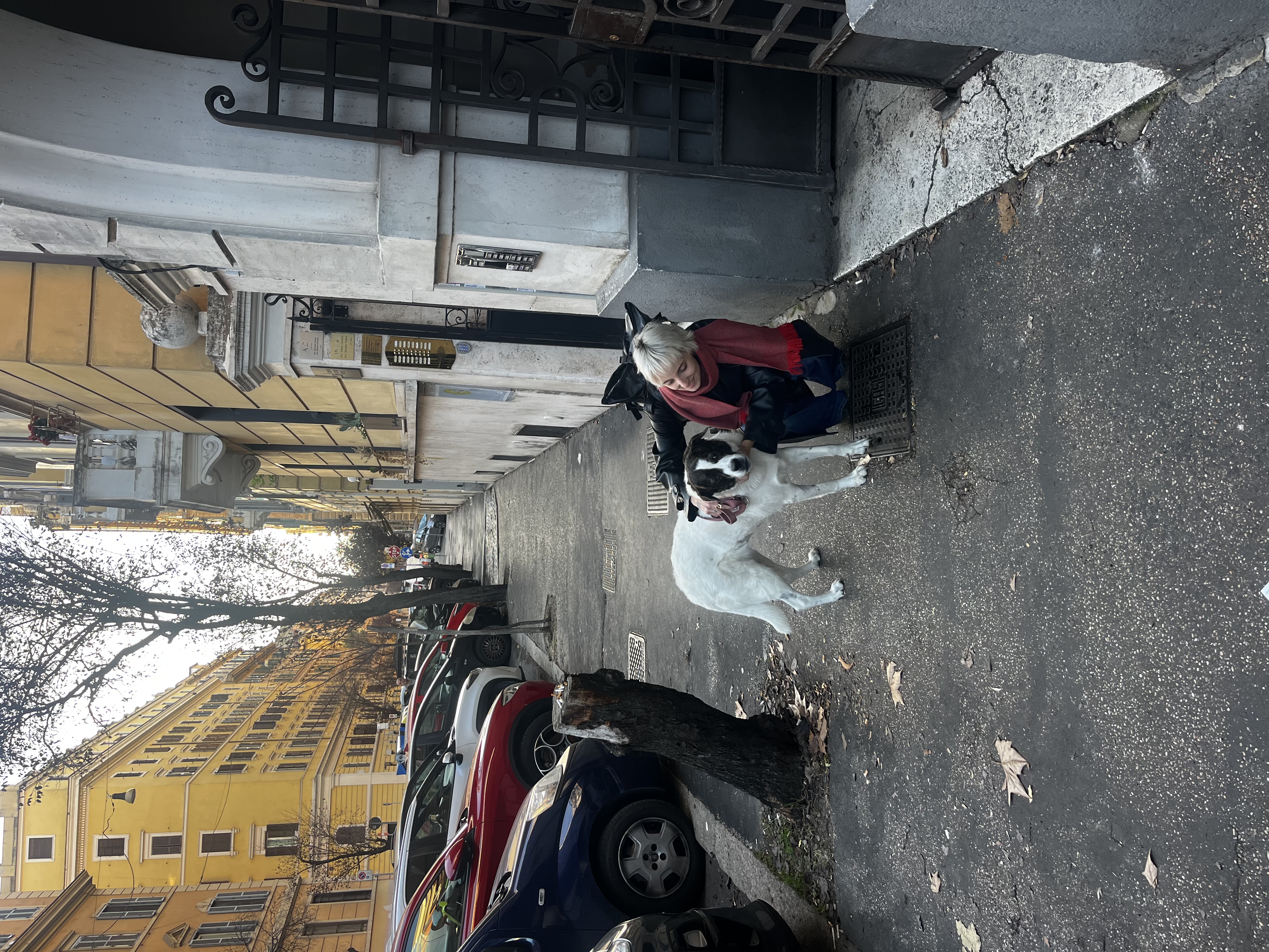 image-5