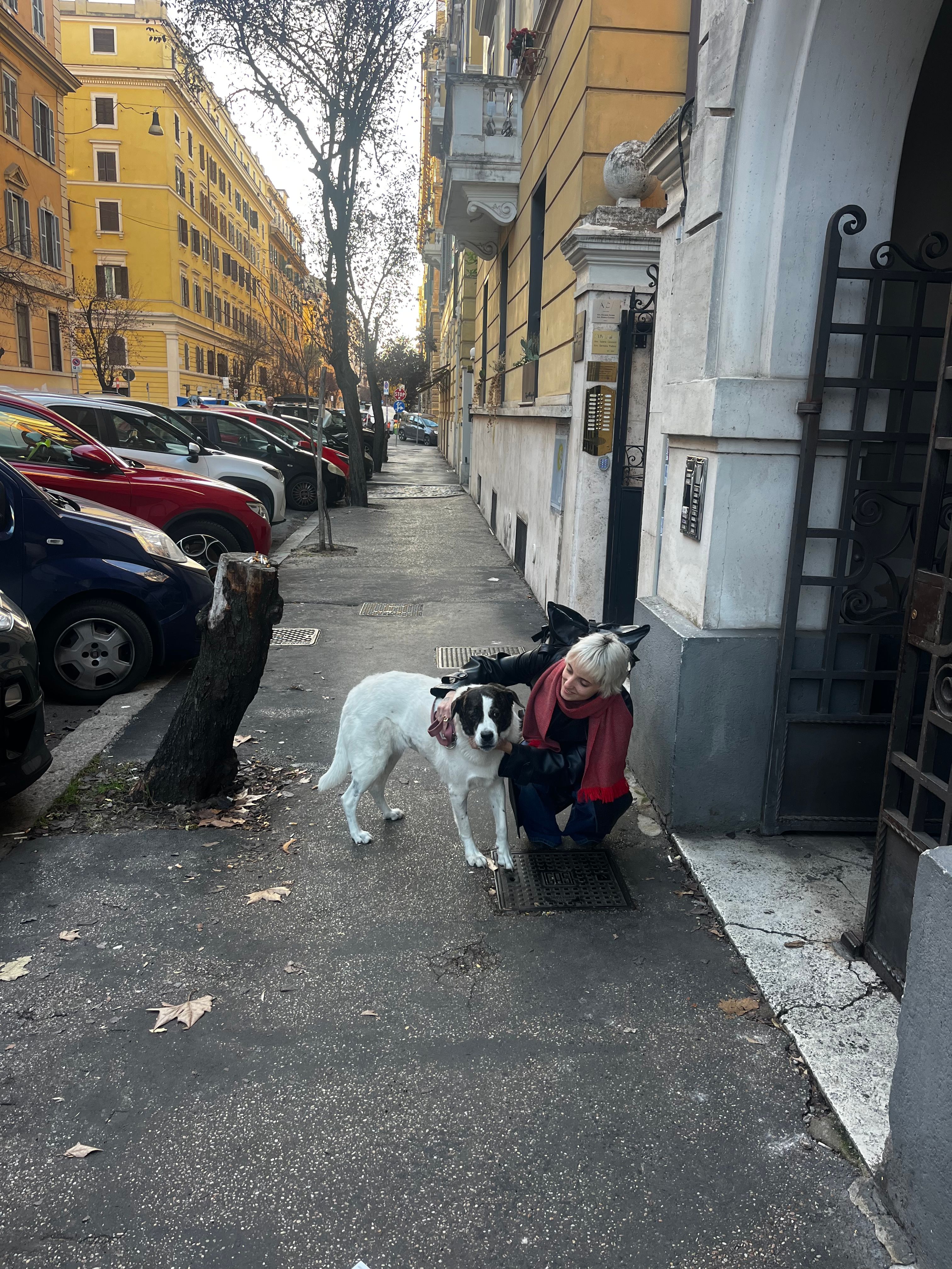 image-5