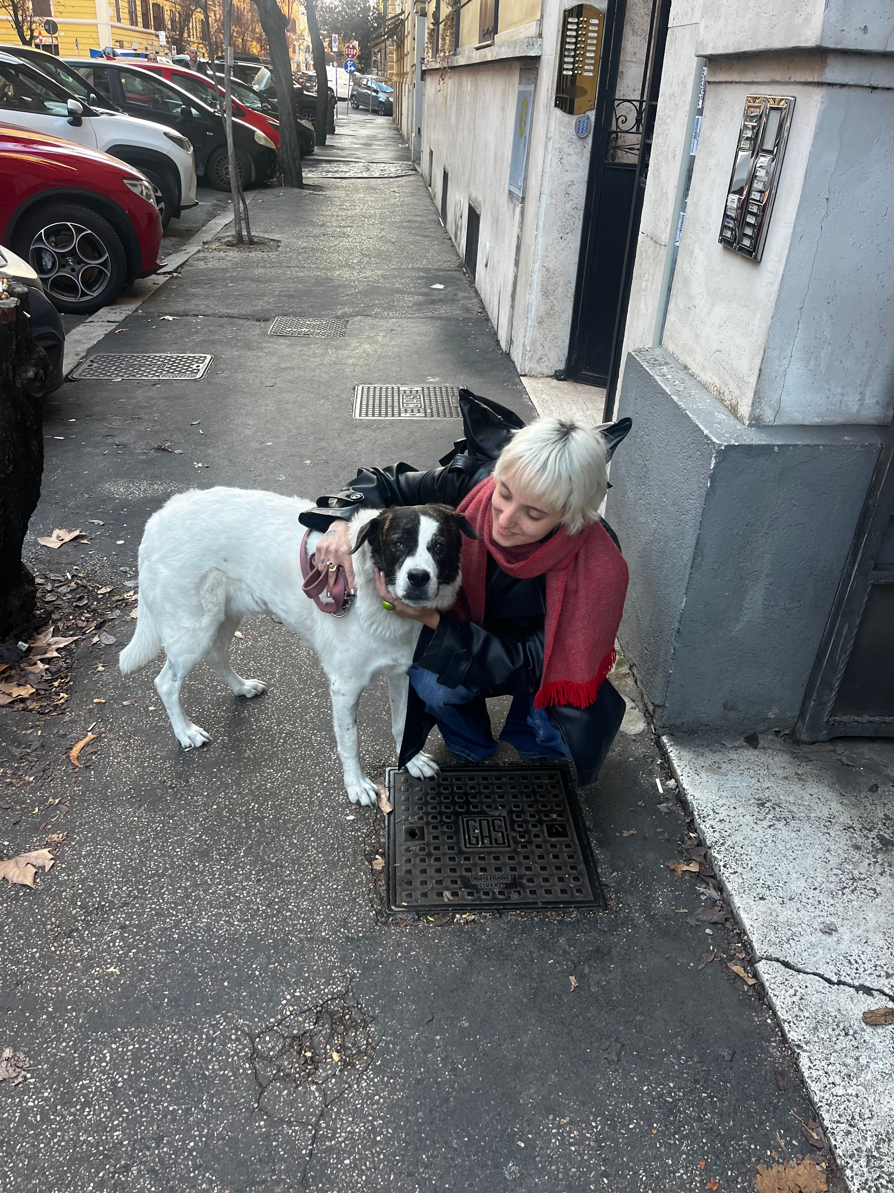 image-6