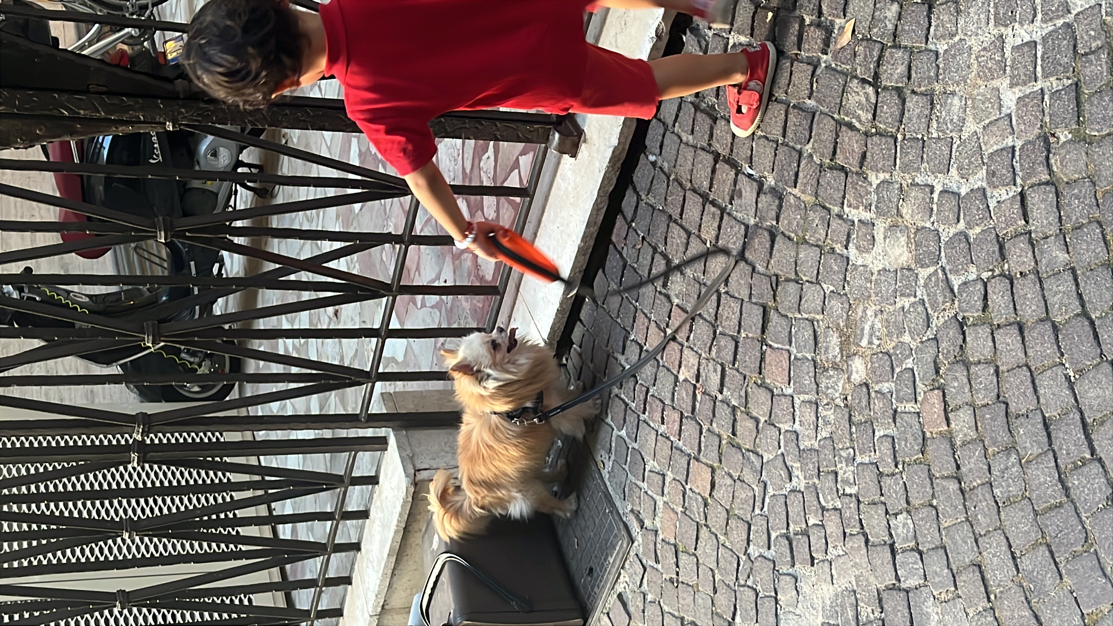 image-14