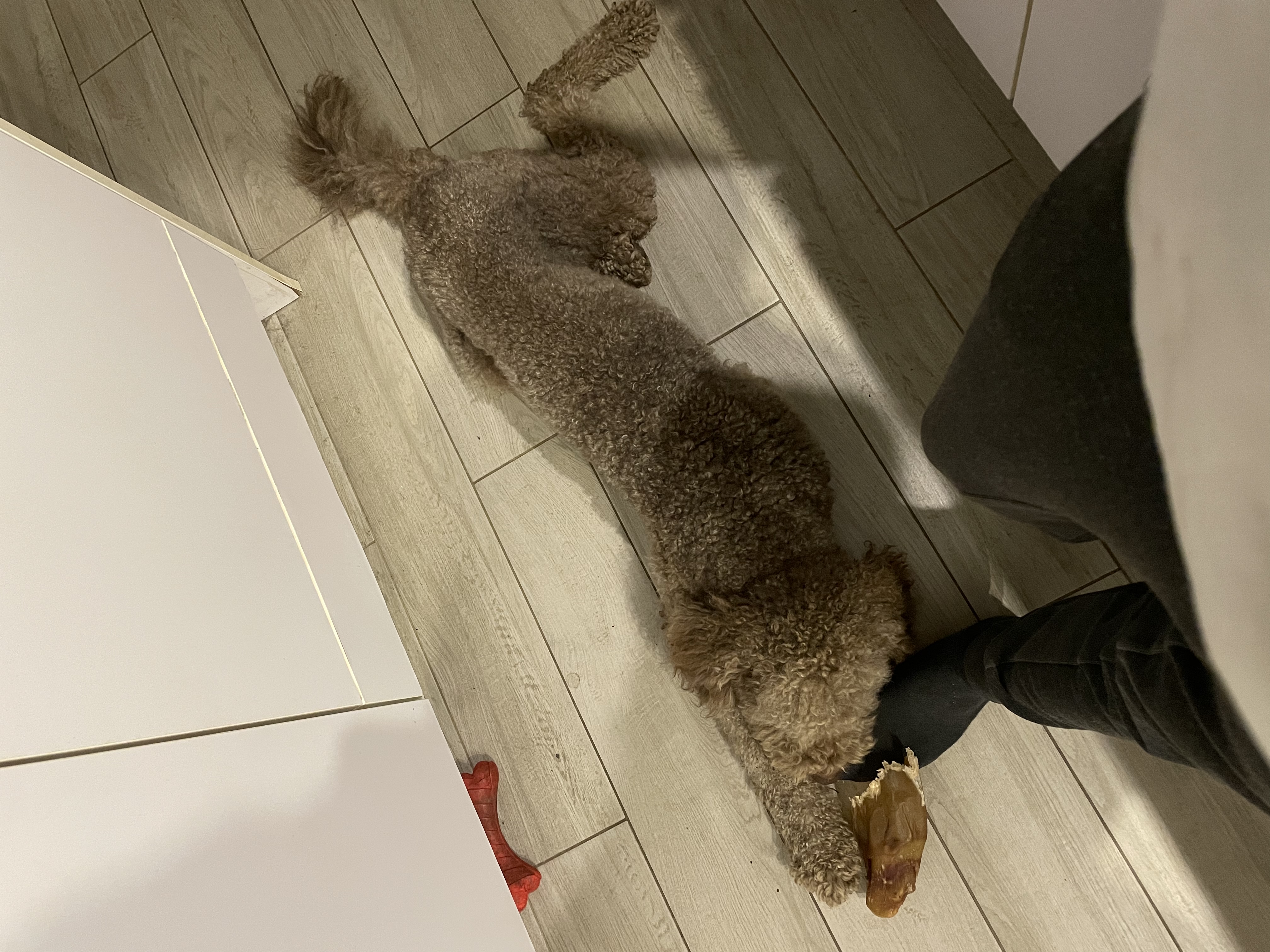 image-9