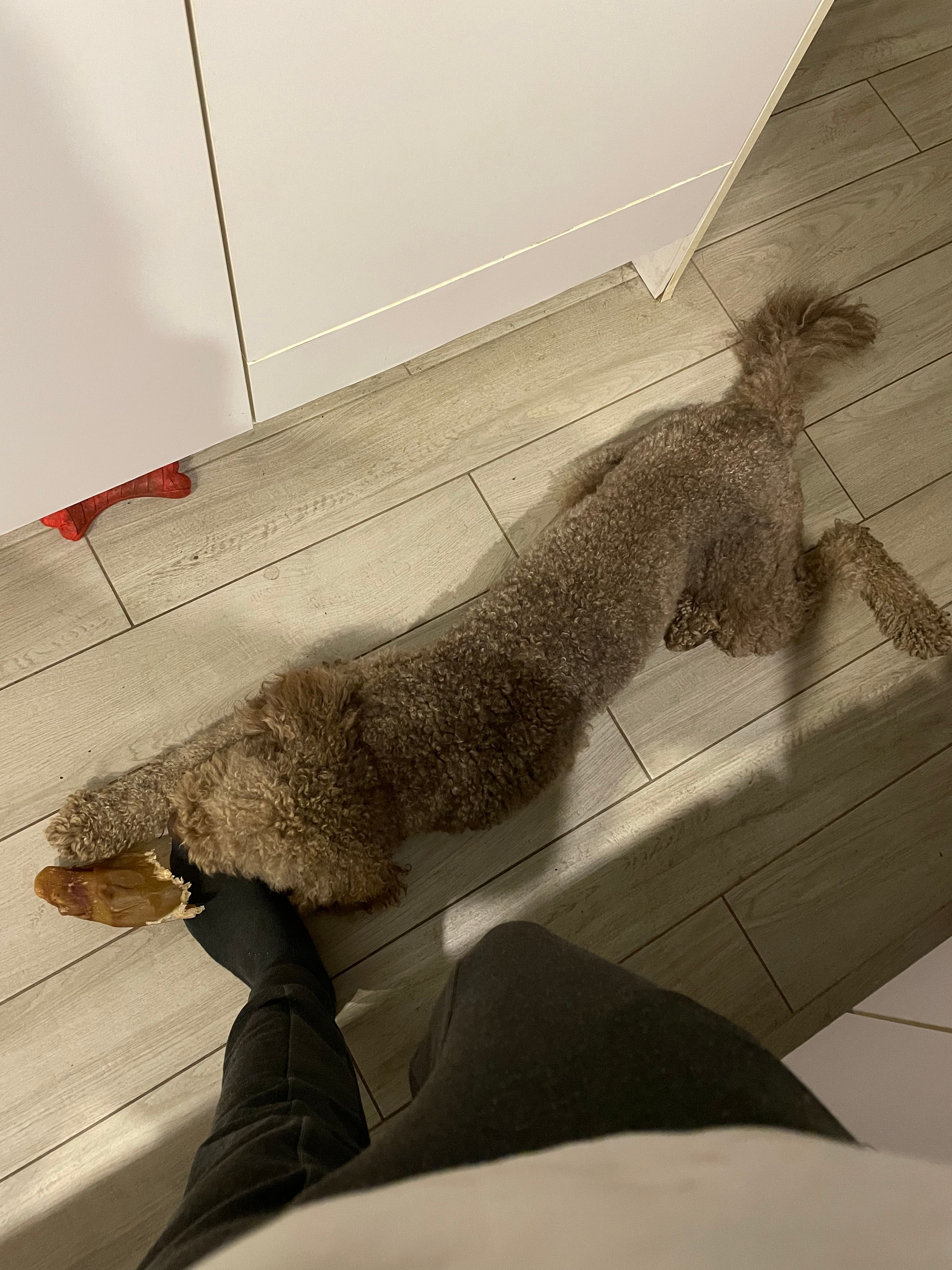 image-9