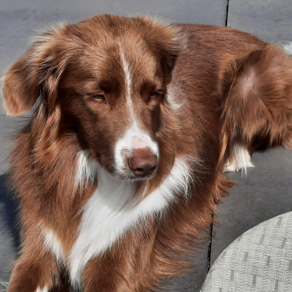 Charlie