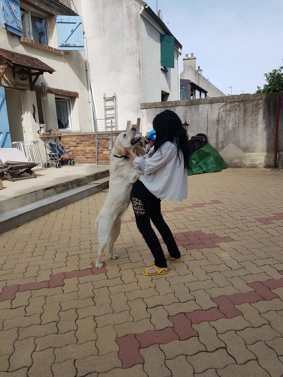 image-11