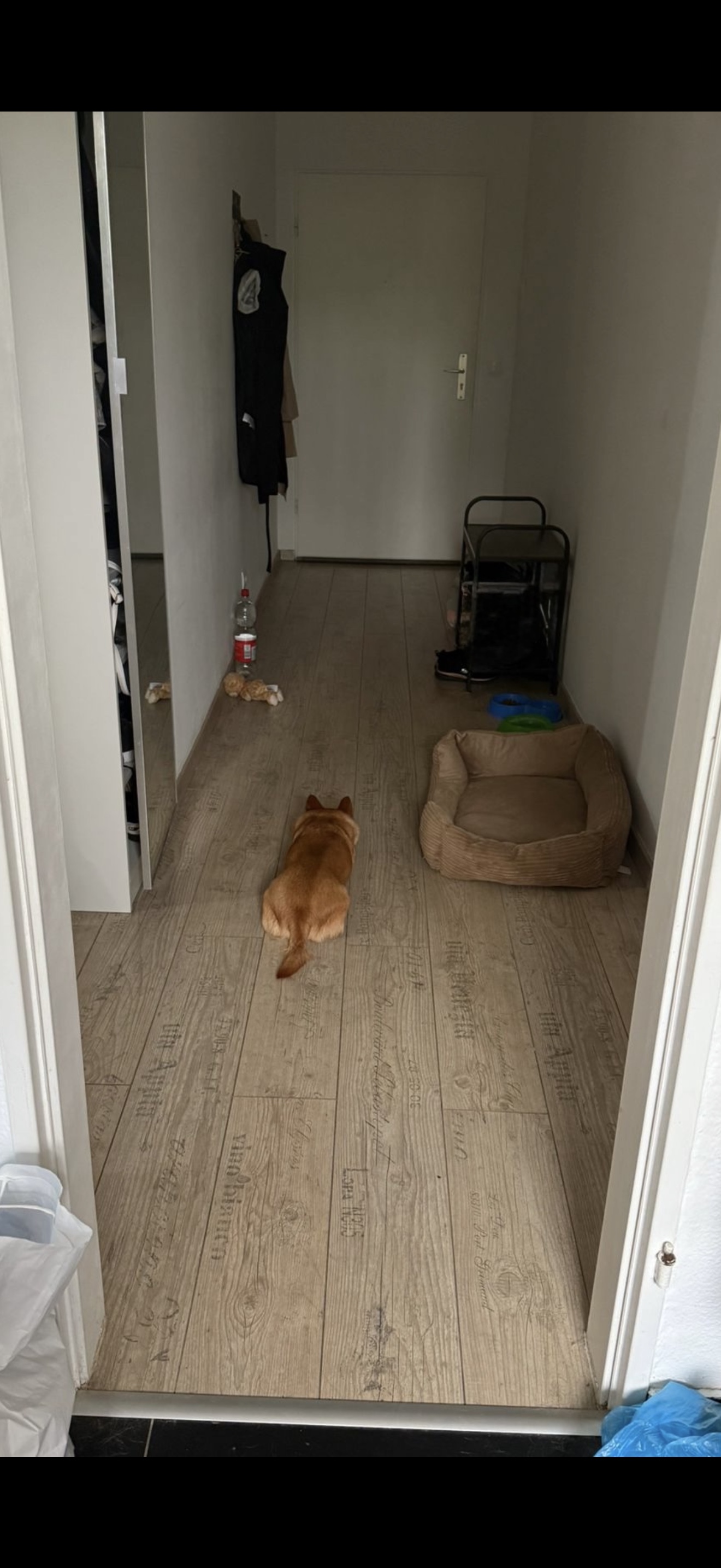 image-18