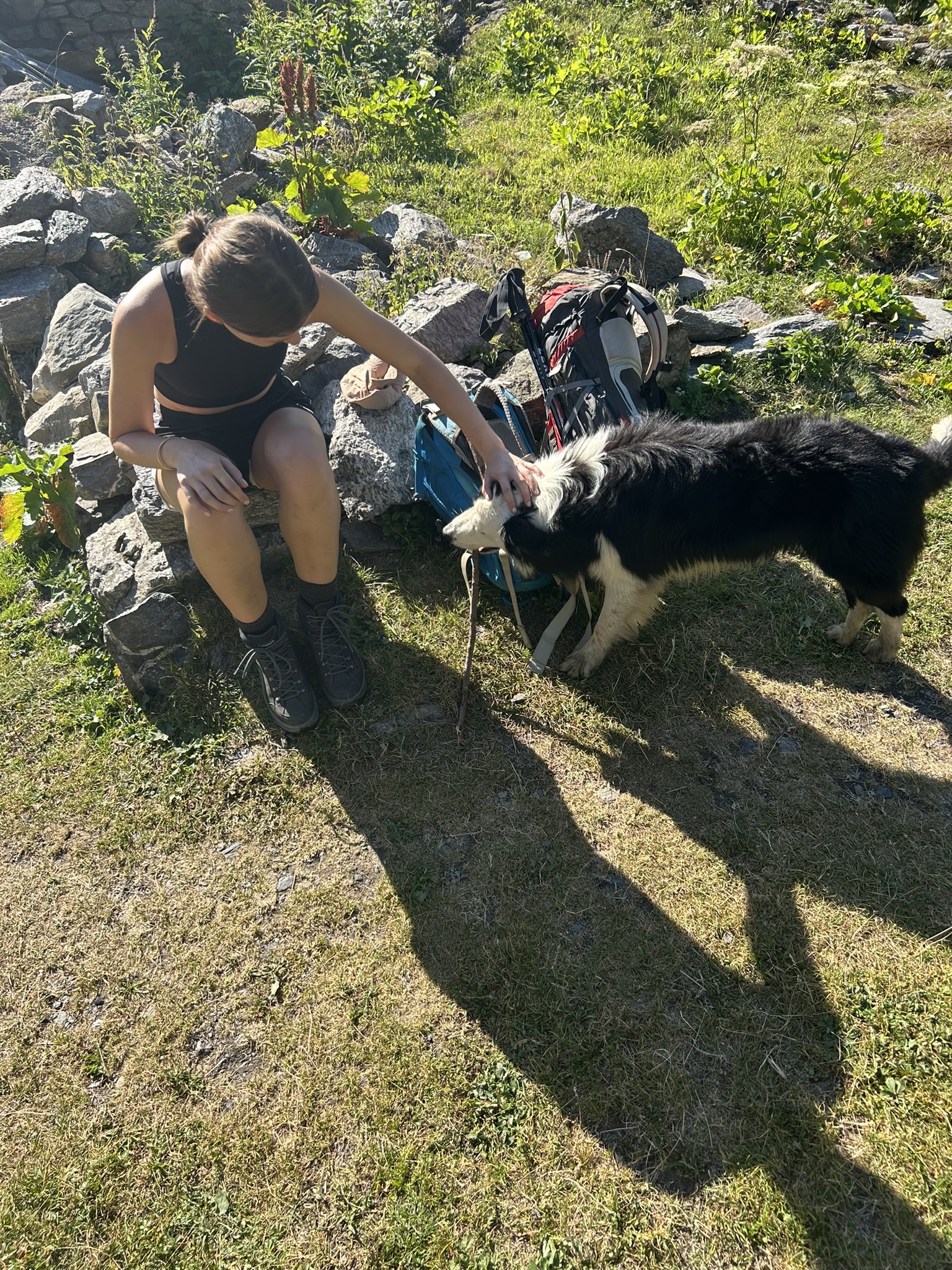 image-3
