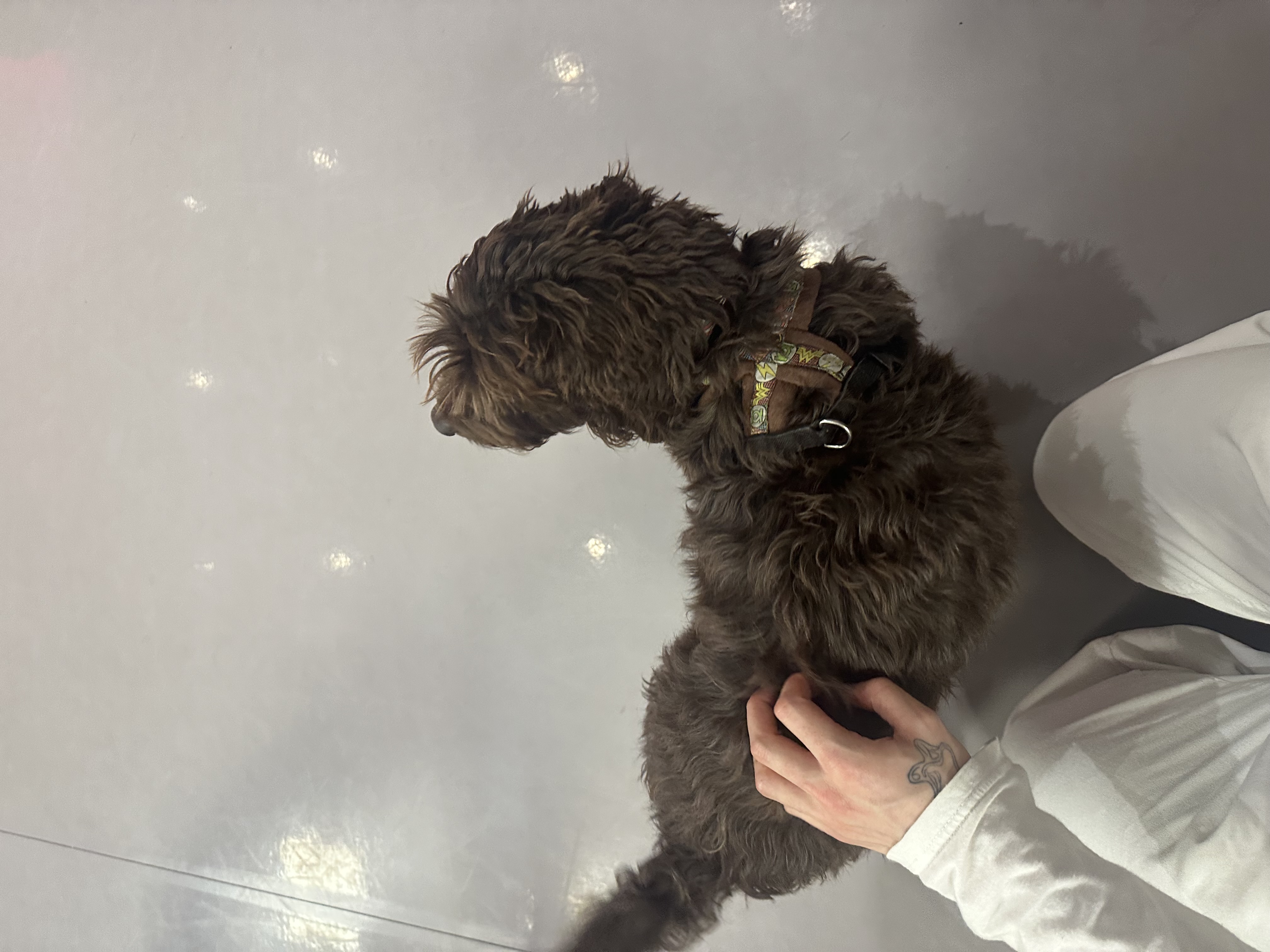 image-9
