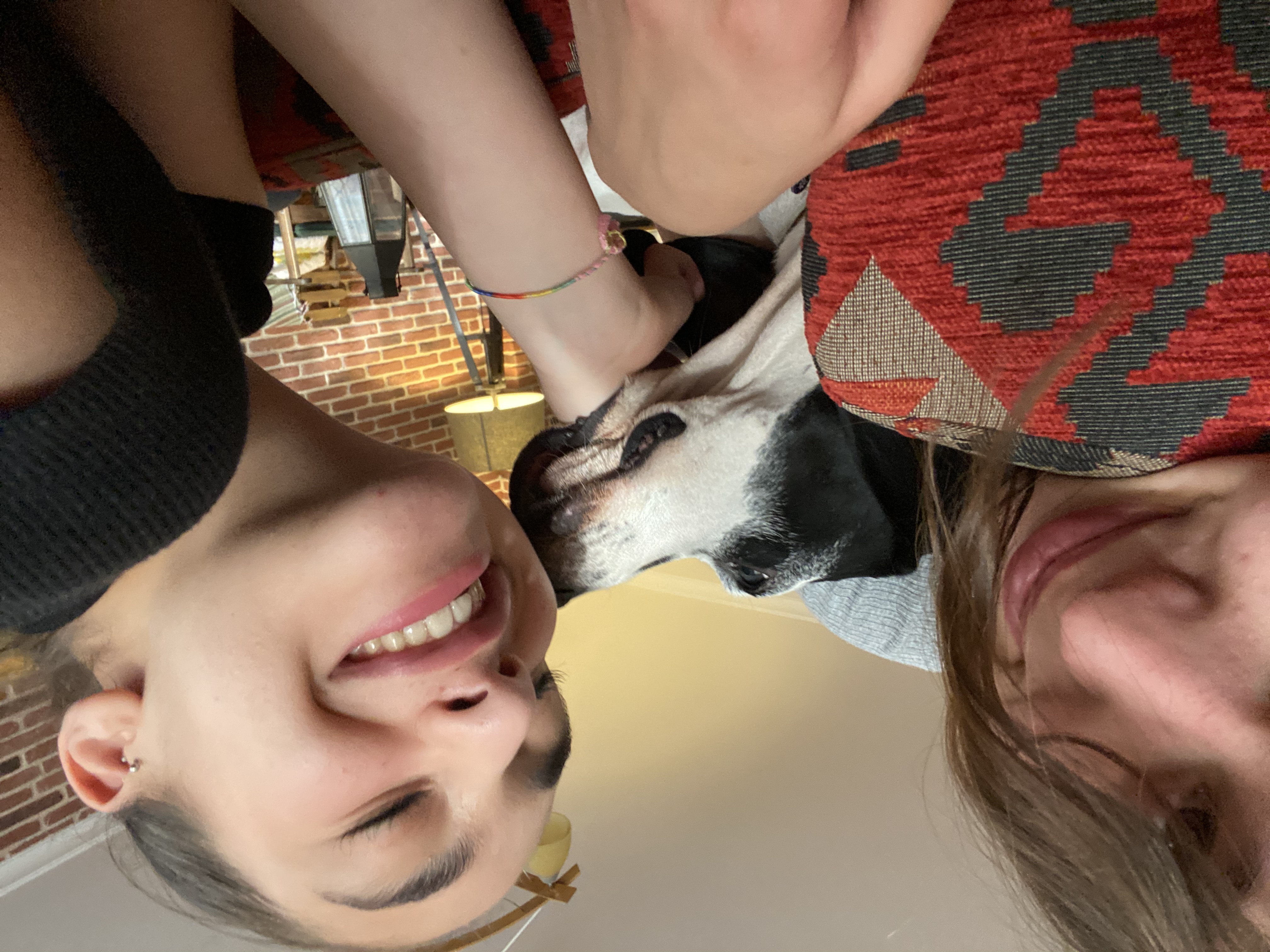 image-6