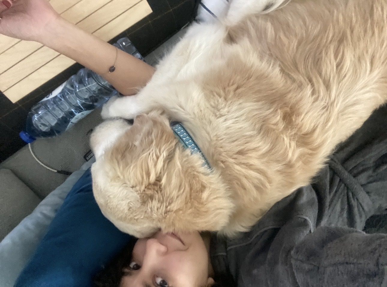 image-6