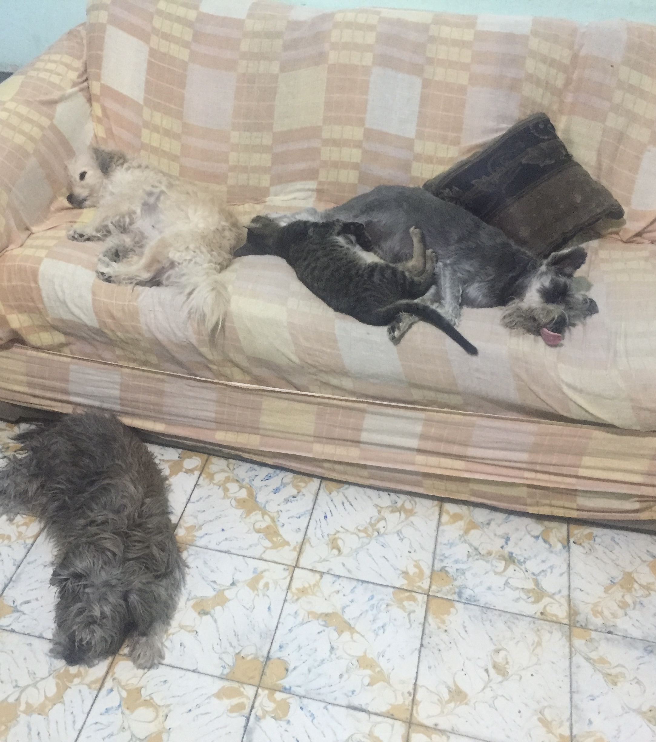 image-12
