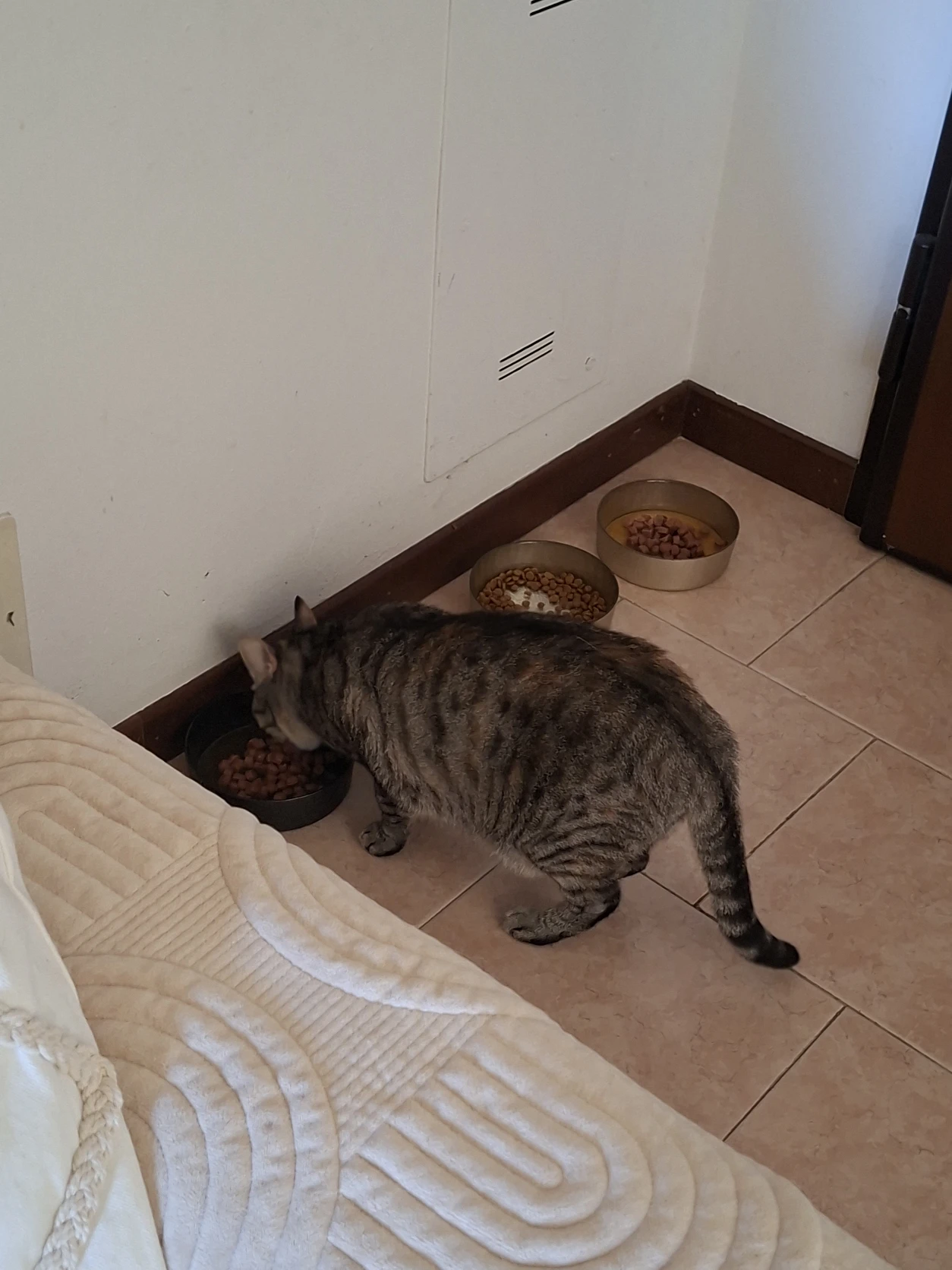 image-18