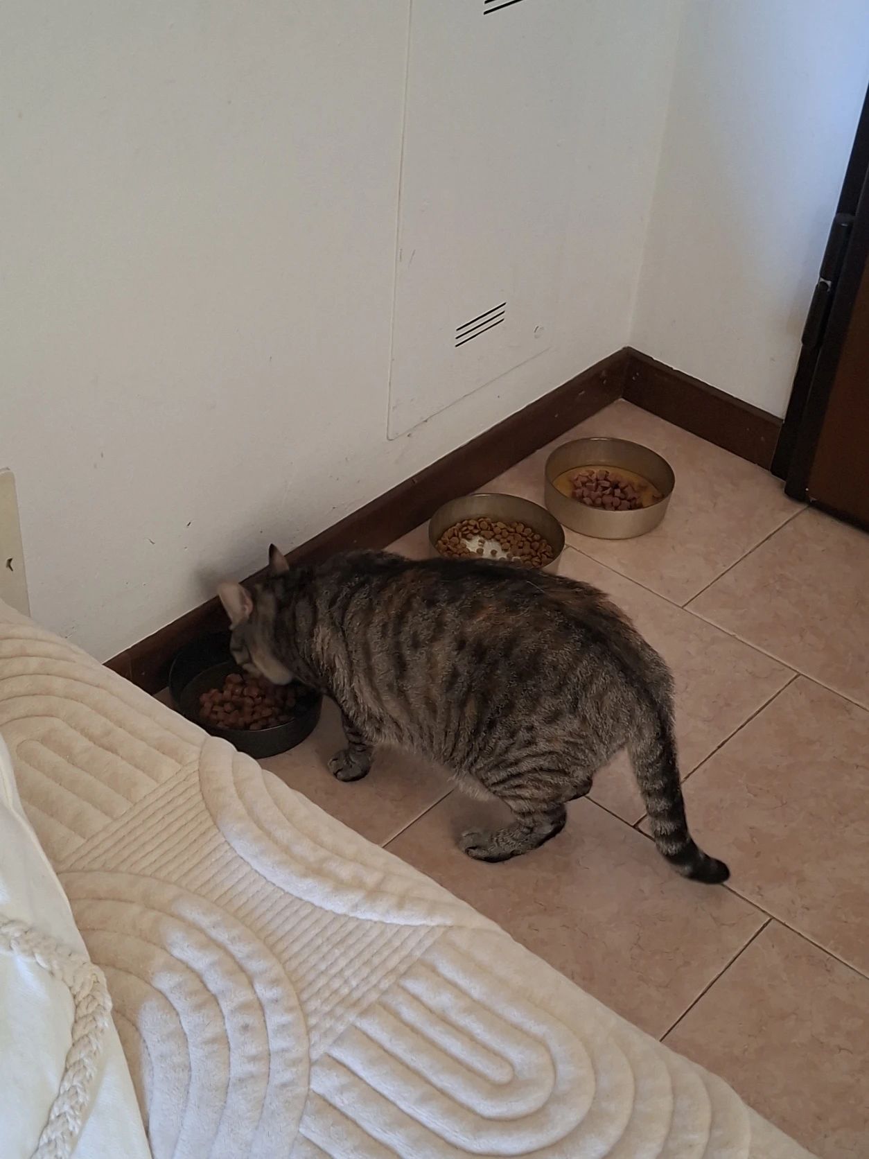 image-18