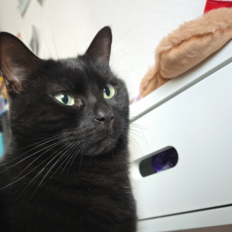 Odin