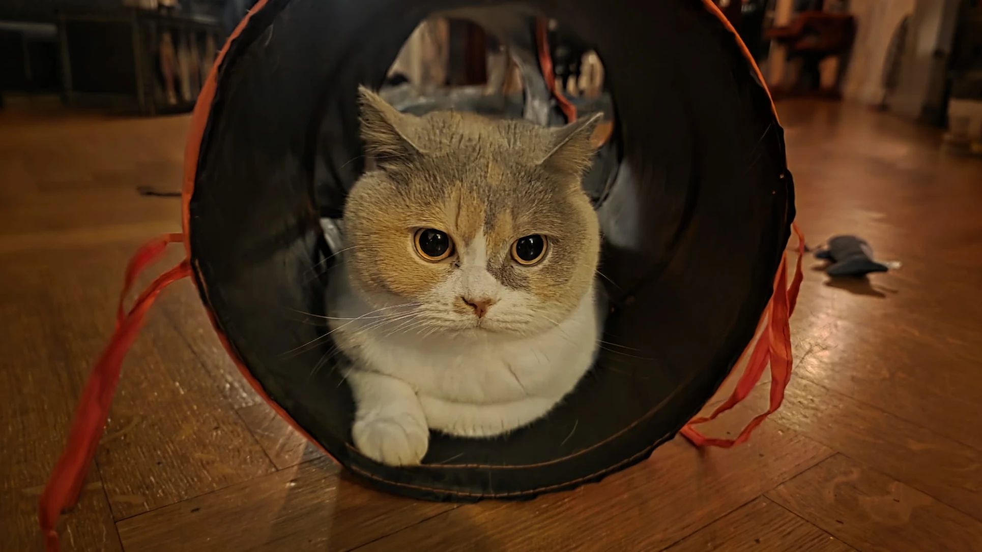 image-48