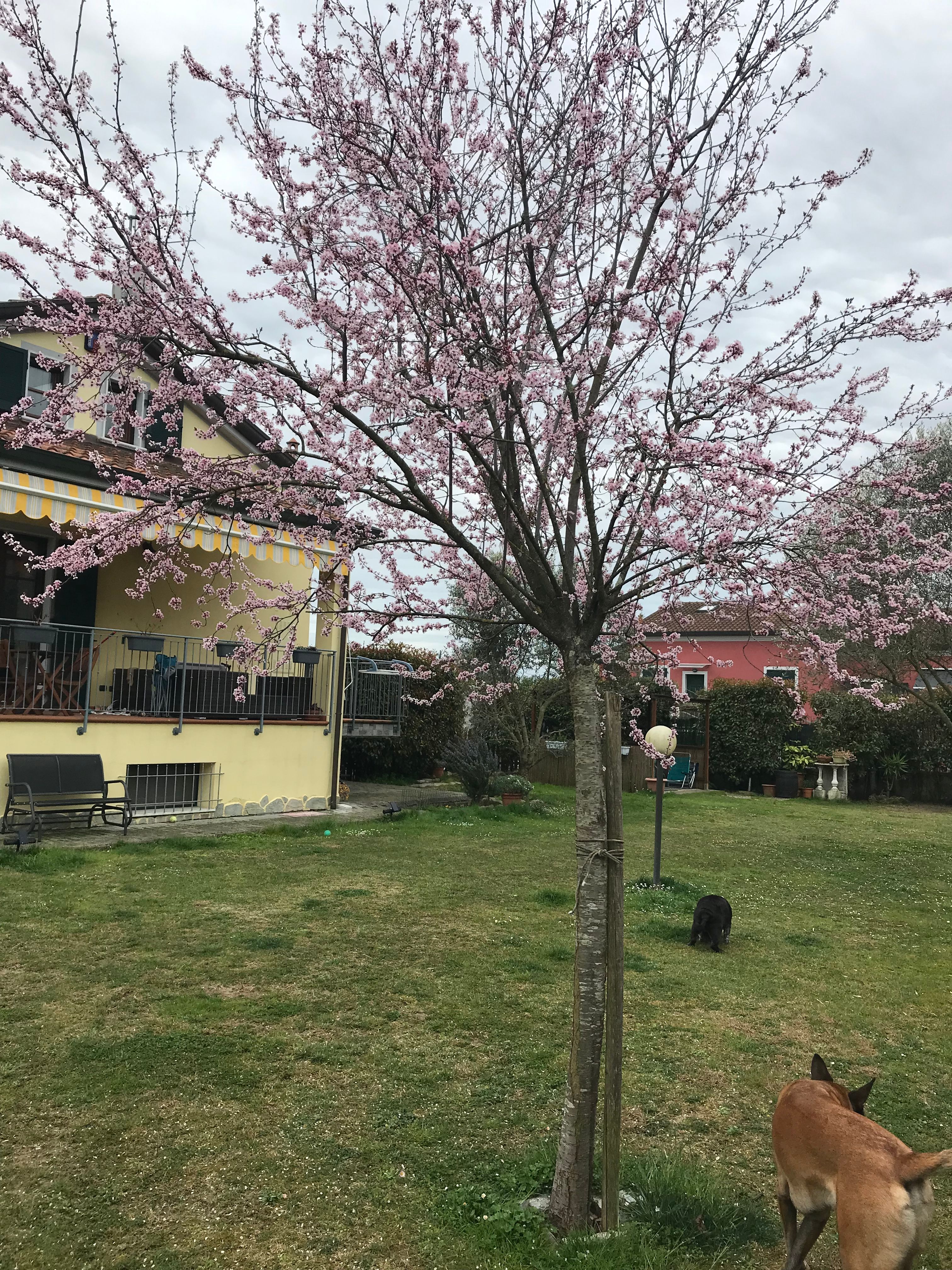 image-14