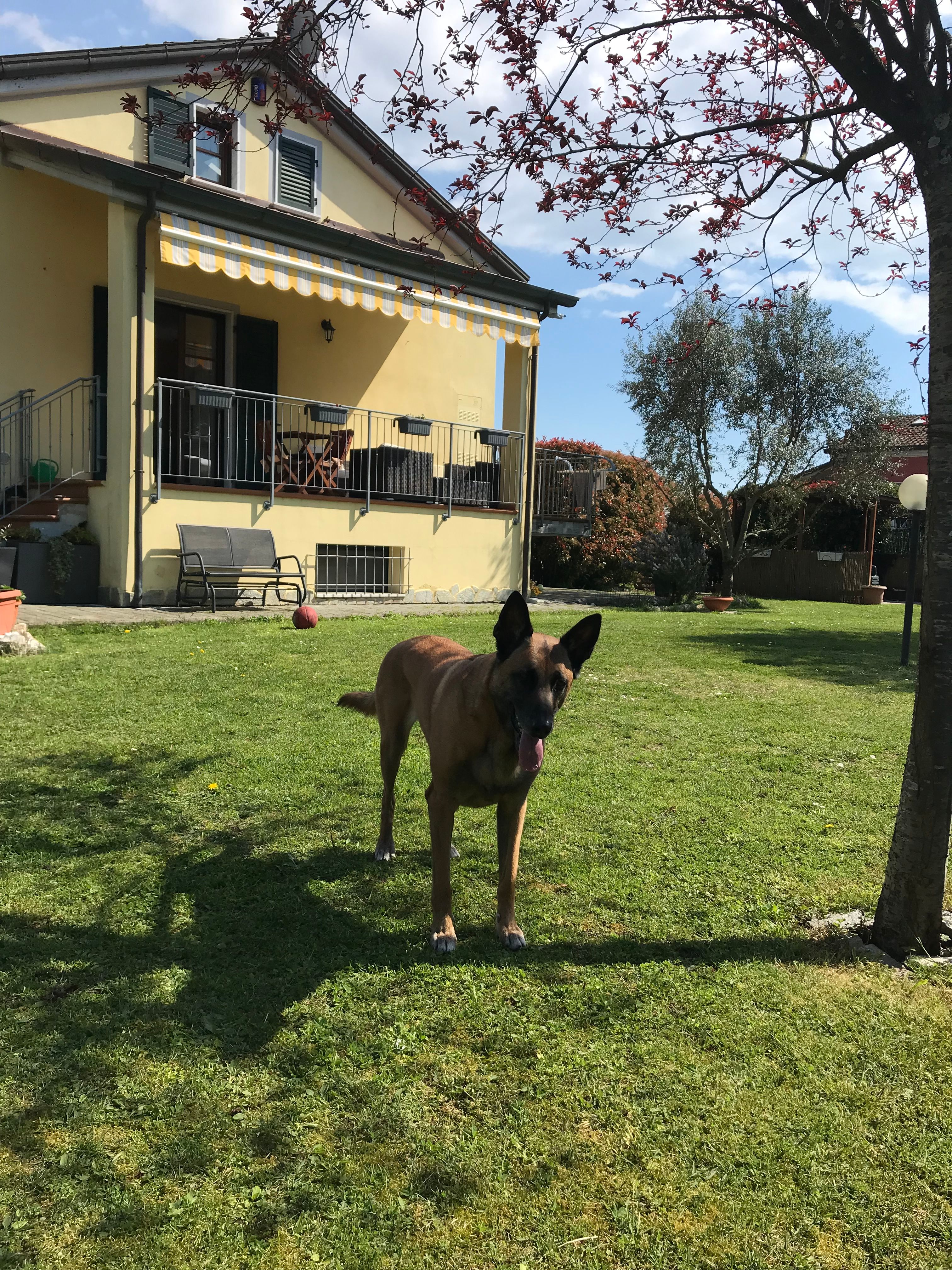 image-15