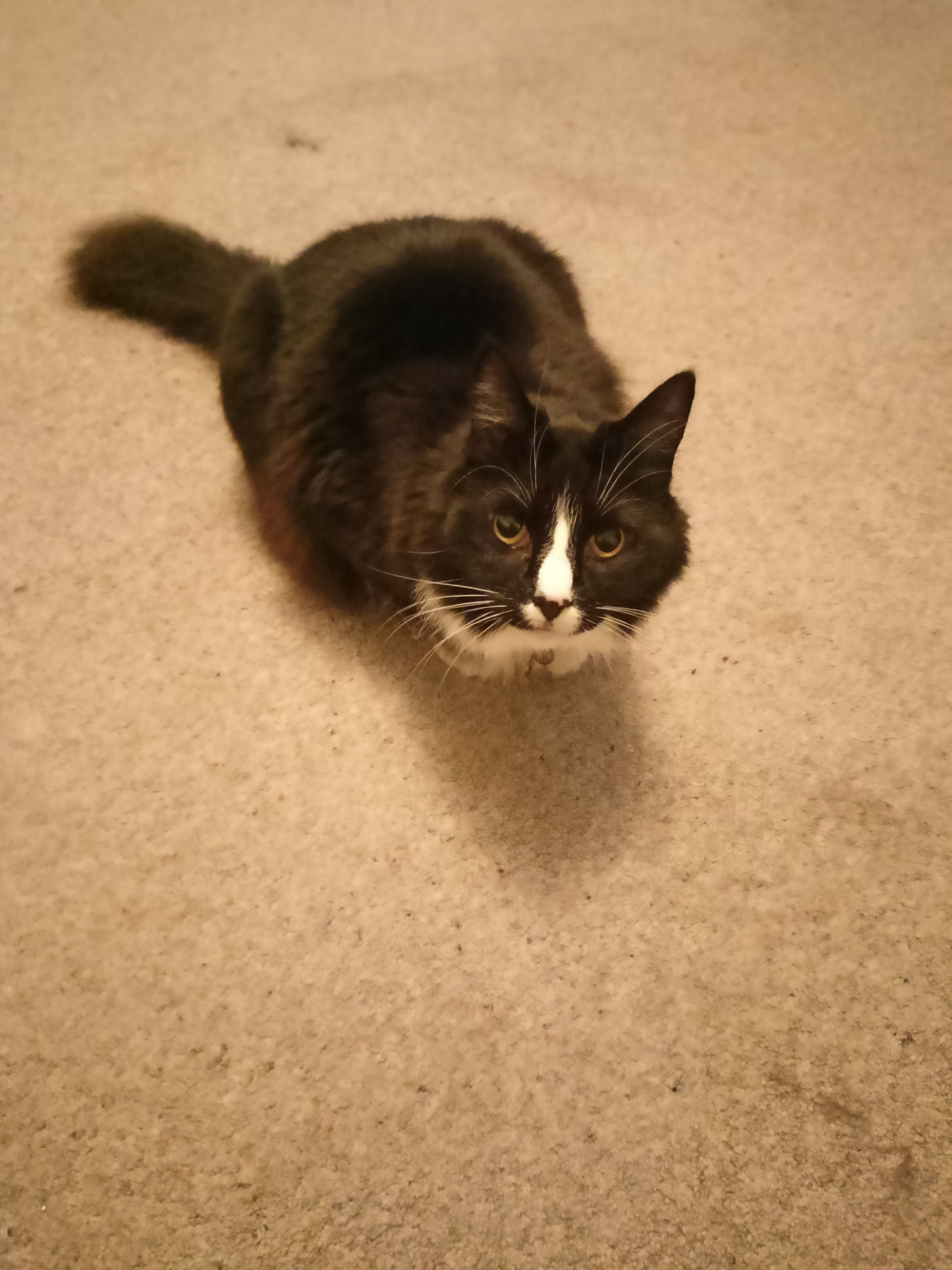 image-11