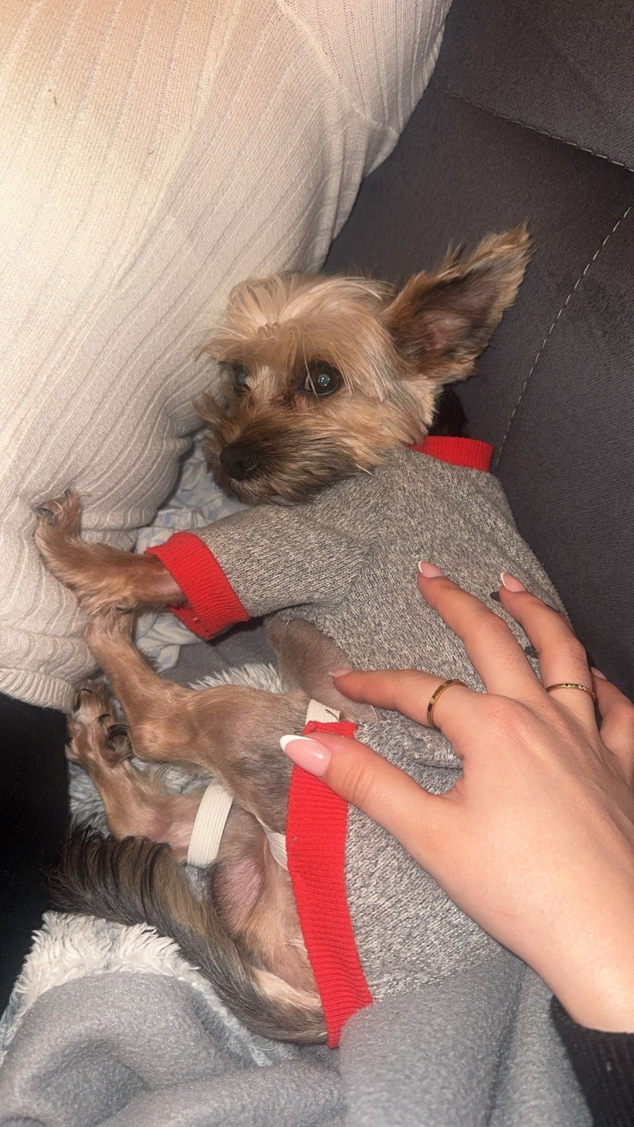 image-7
