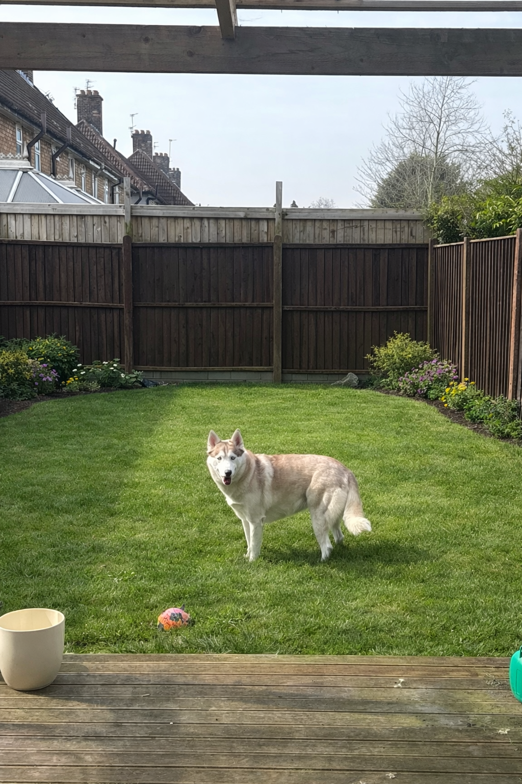 image-16