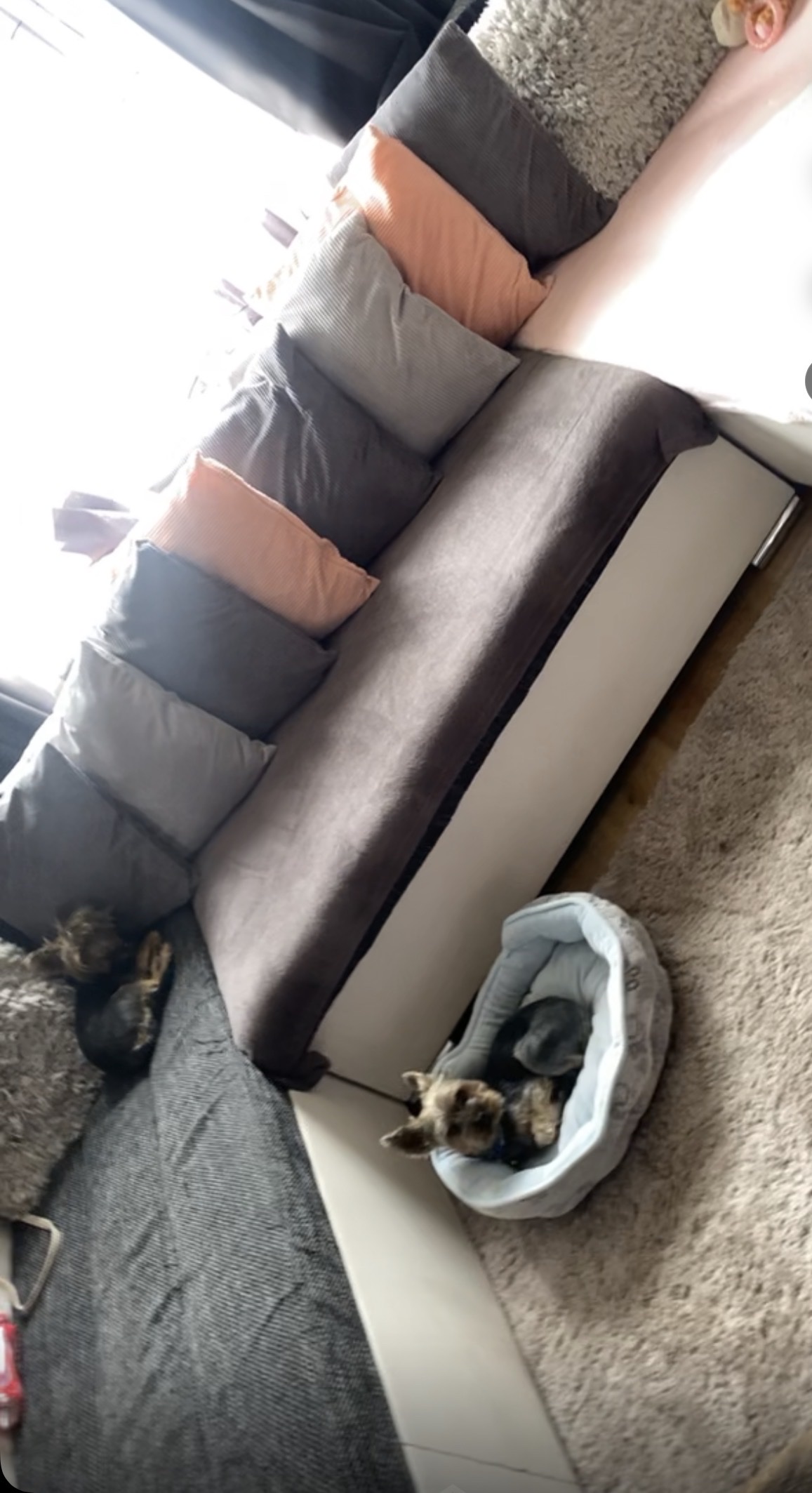 image-18