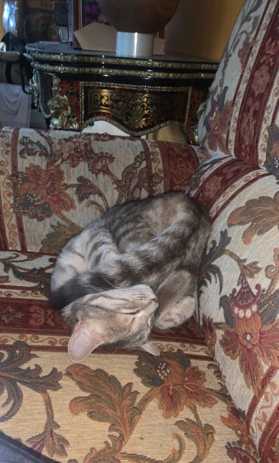 image-8