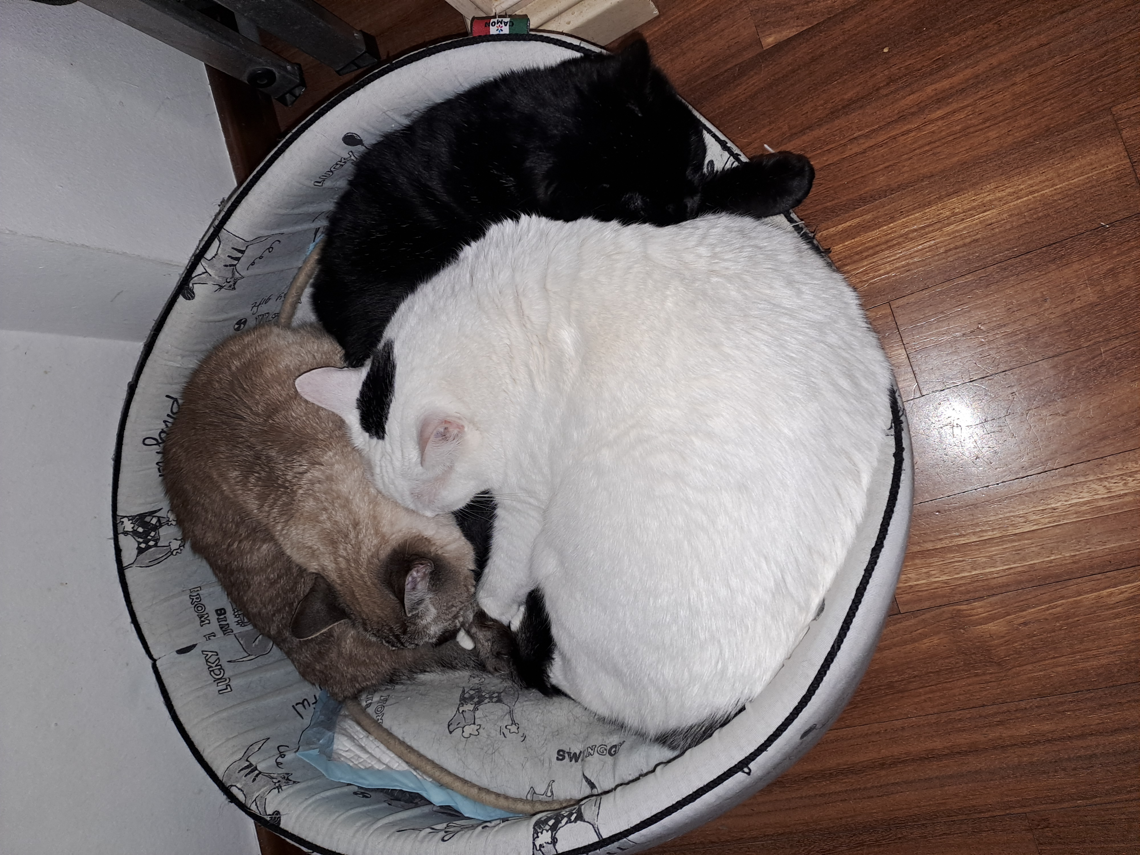 image-2