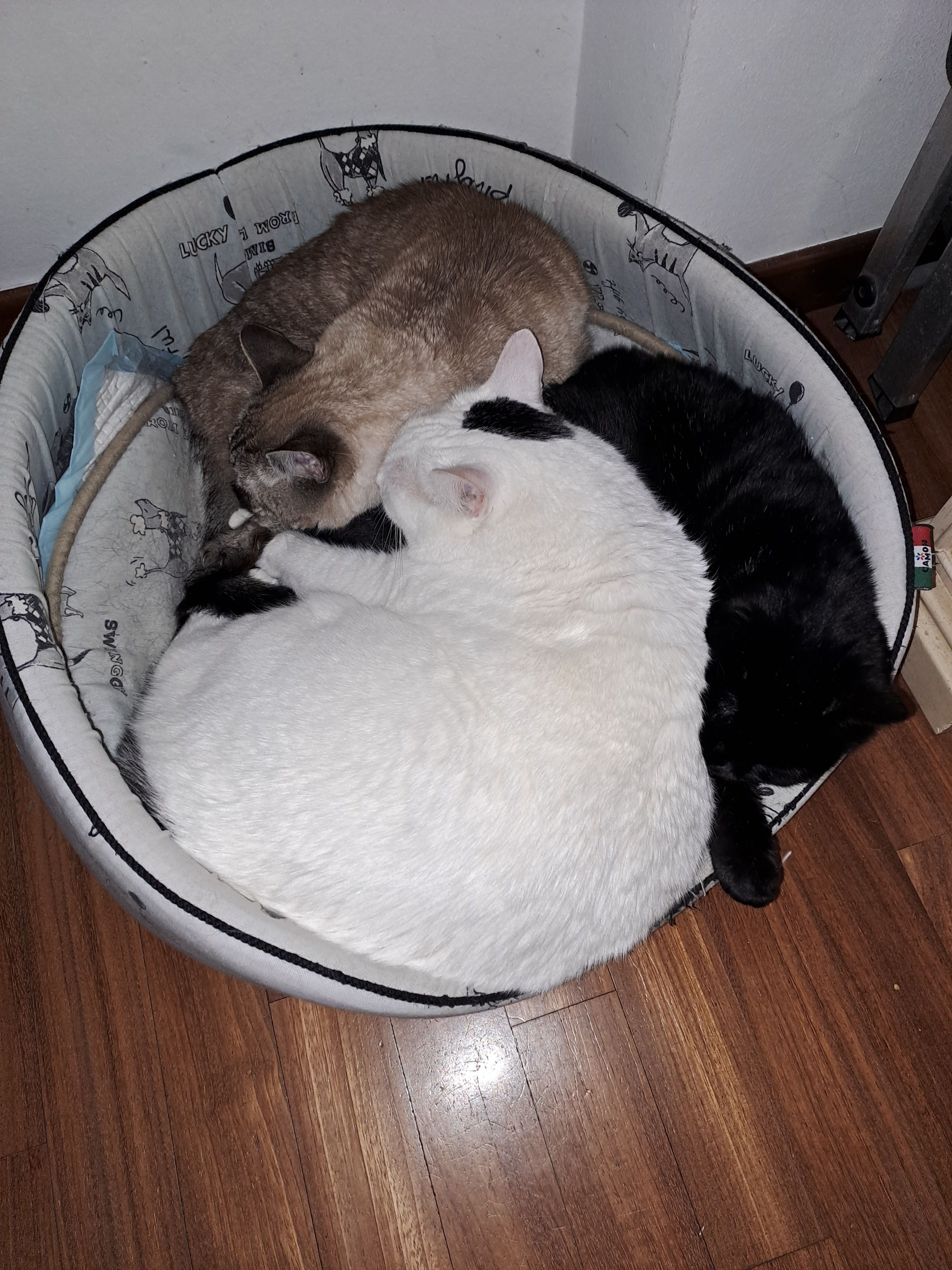 image-2