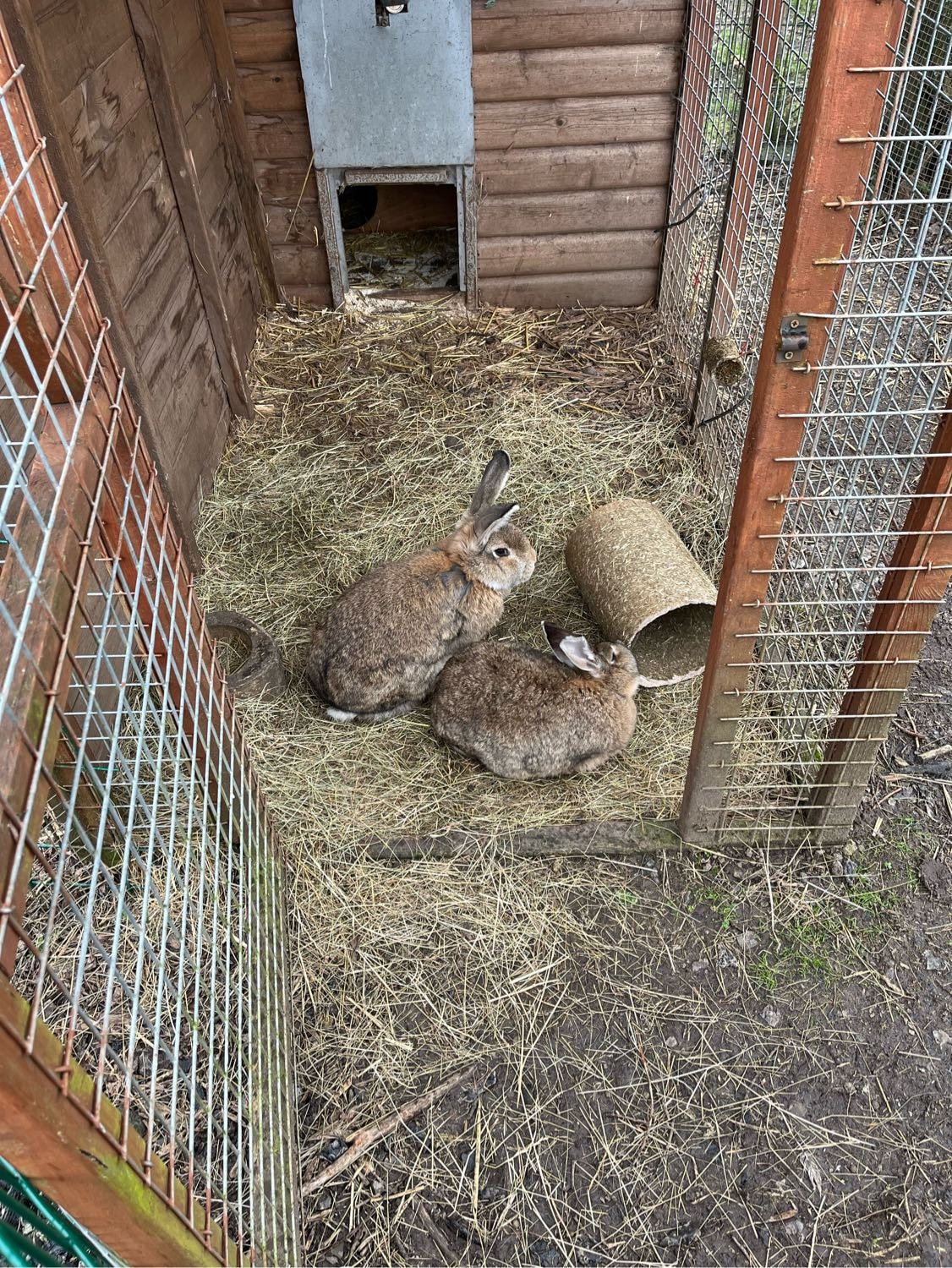 image-7
