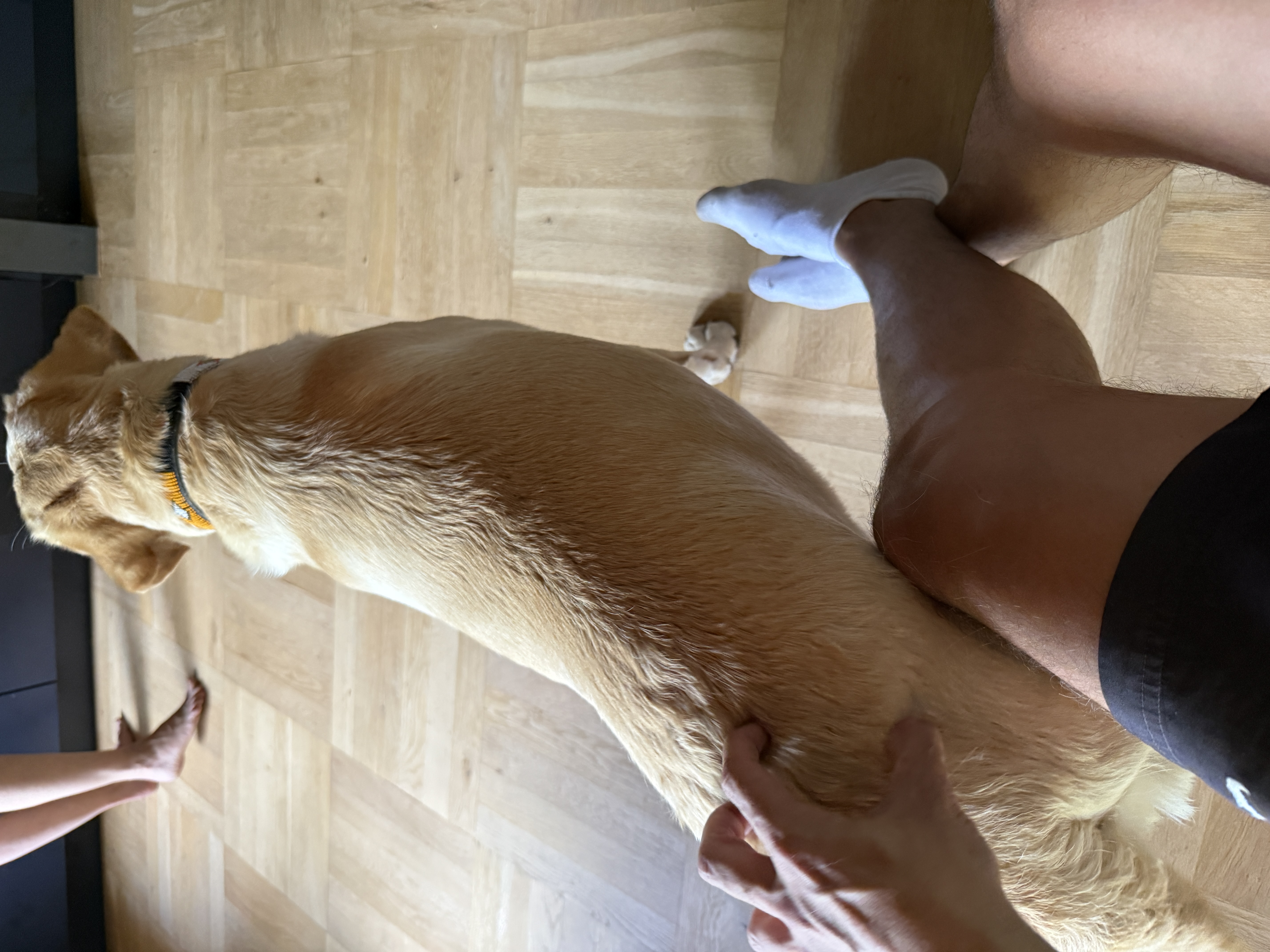 image-3