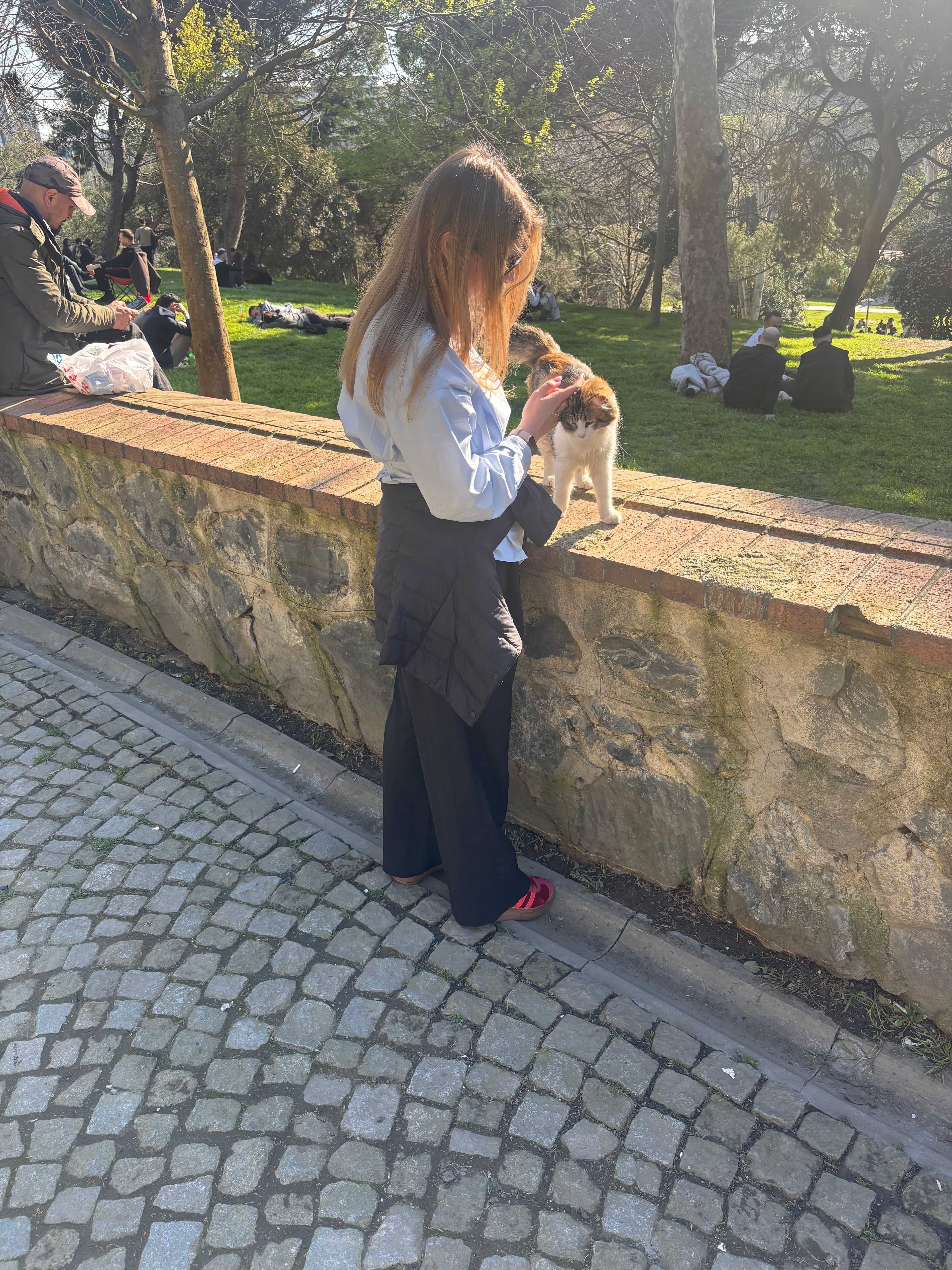 image-7